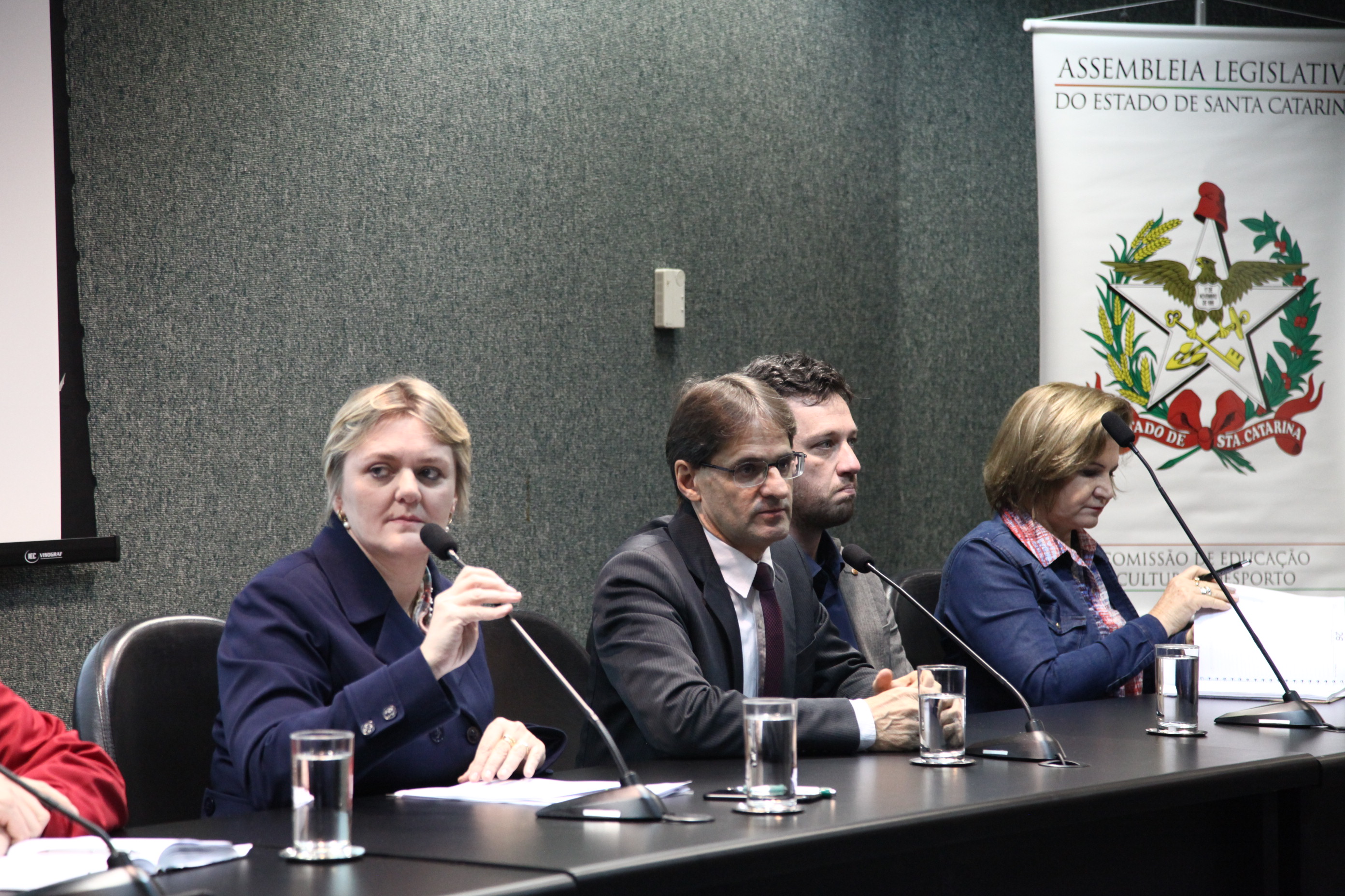 Discussão Relativas á Disciplina de Espanhol na Educação Básica em SC''