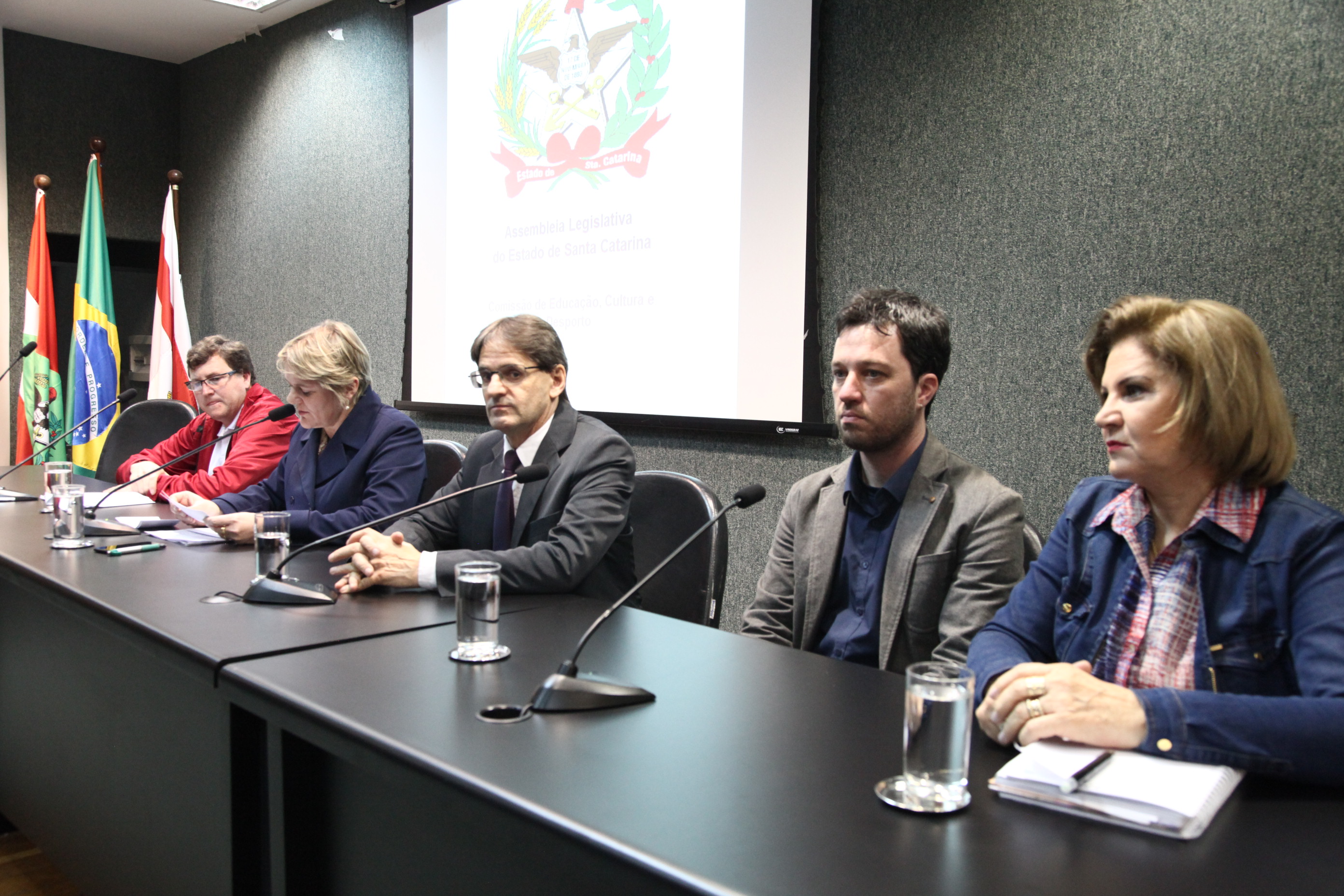 Discussão Relativas á Disciplina de Espanhol na Educação Básica em SC''