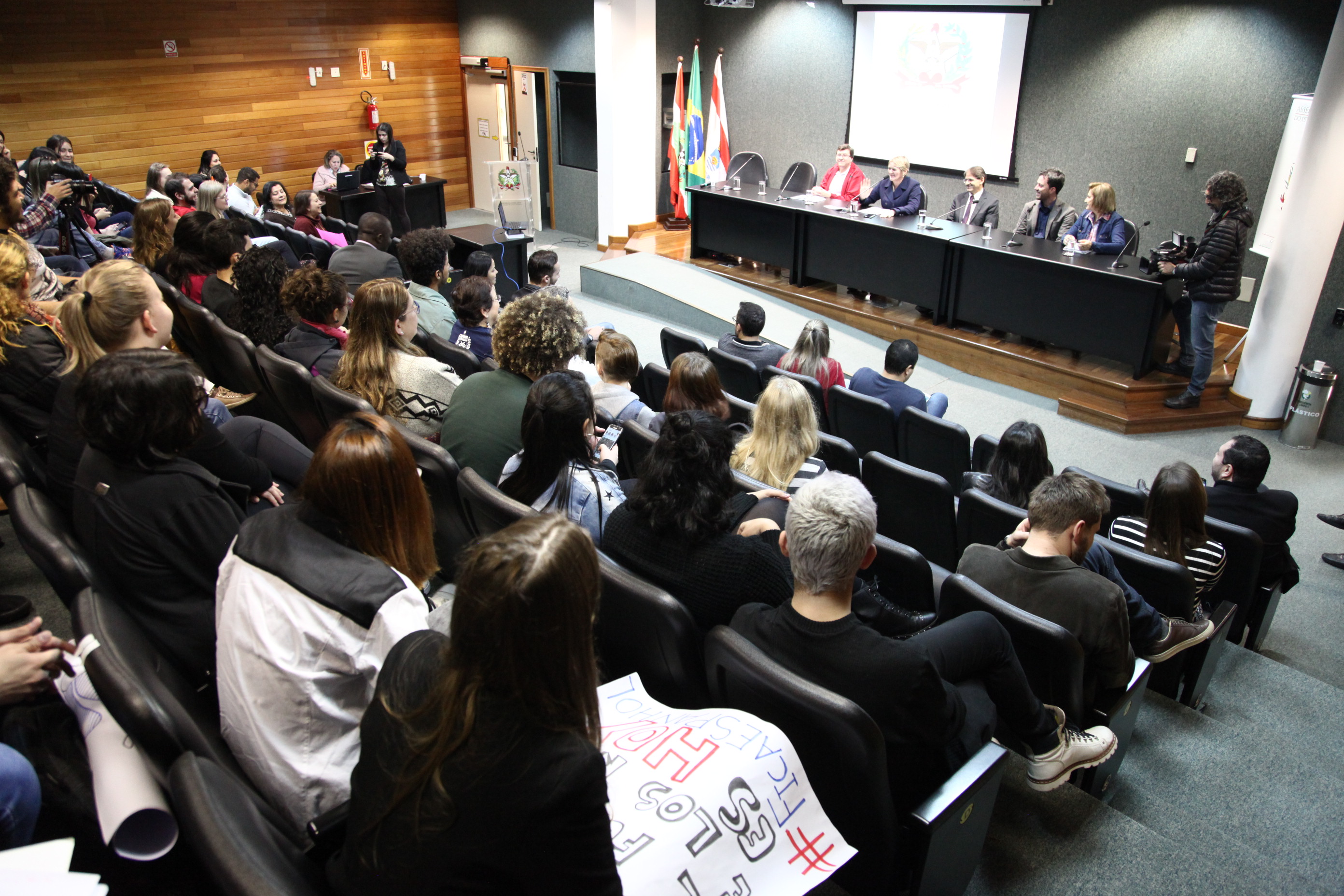 Discussão Relativas á Disciplina de Espanhol na Educação Básica em SC''