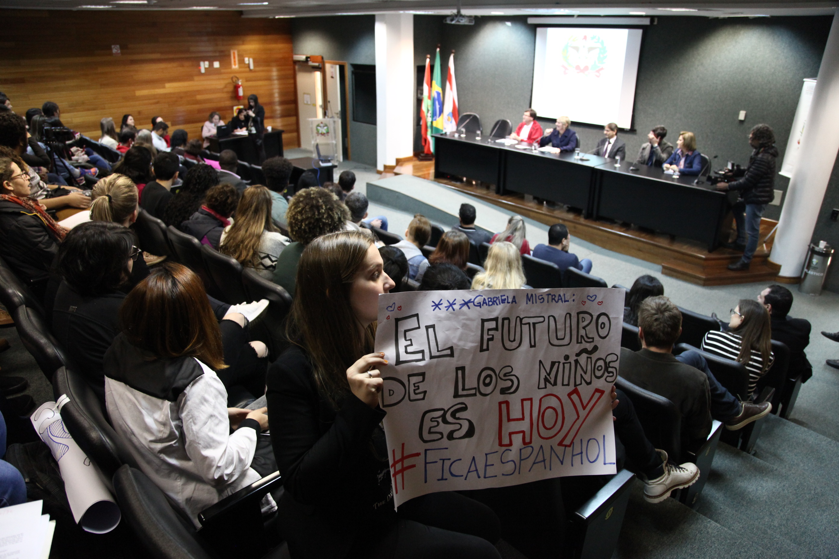 Discussão Relativas á Disciplina de Espanhol na Educação Básica em SC''