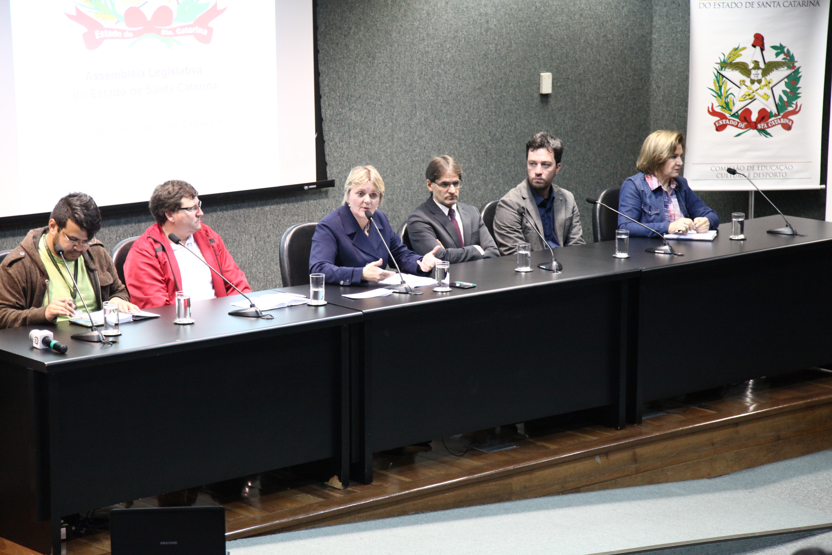 Discussão Relativas á Disciplina de Espanhol na Educação Básica em SC''