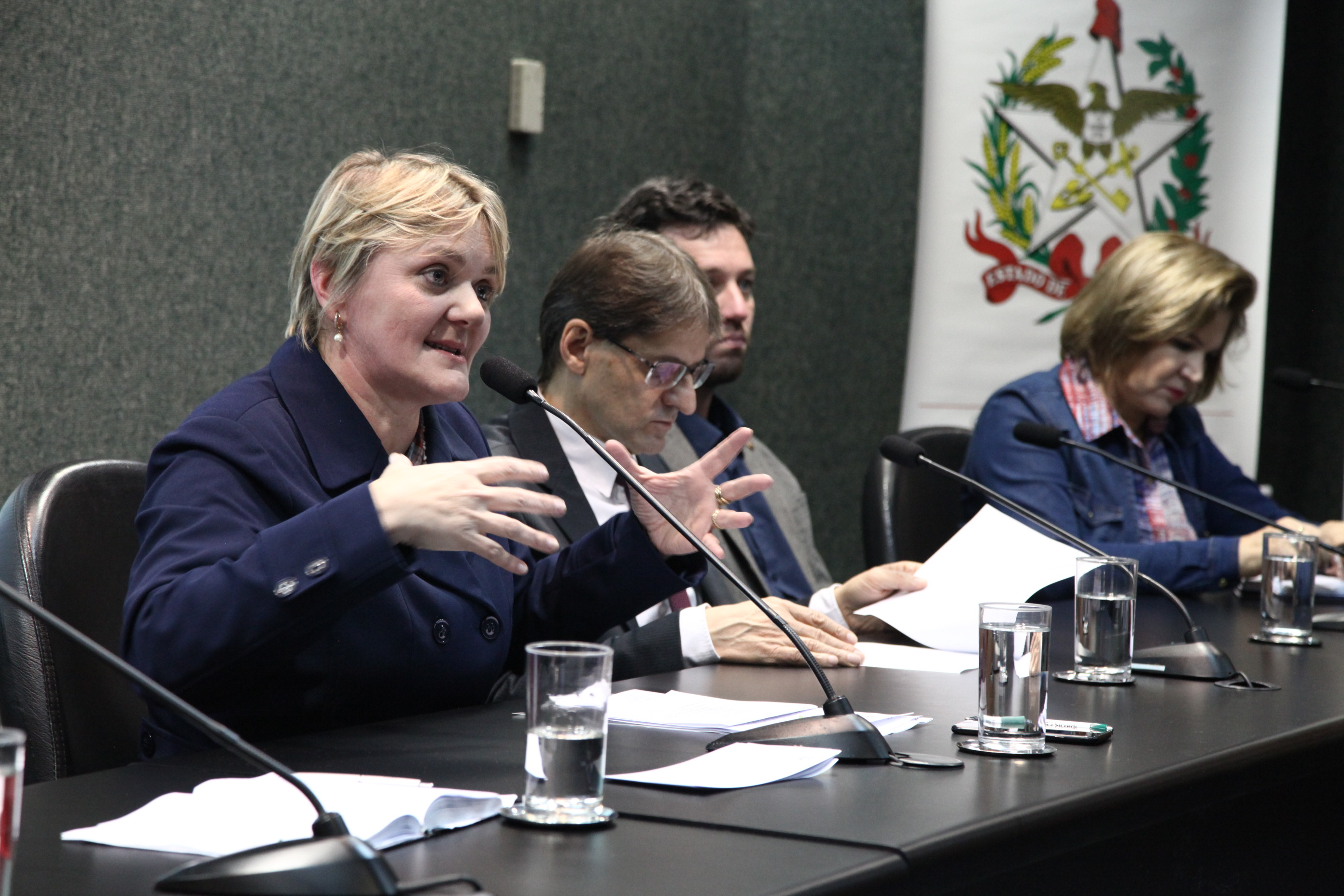 Discussão Relativas á Disciplina de Espanhol na Educação Básica em SC''