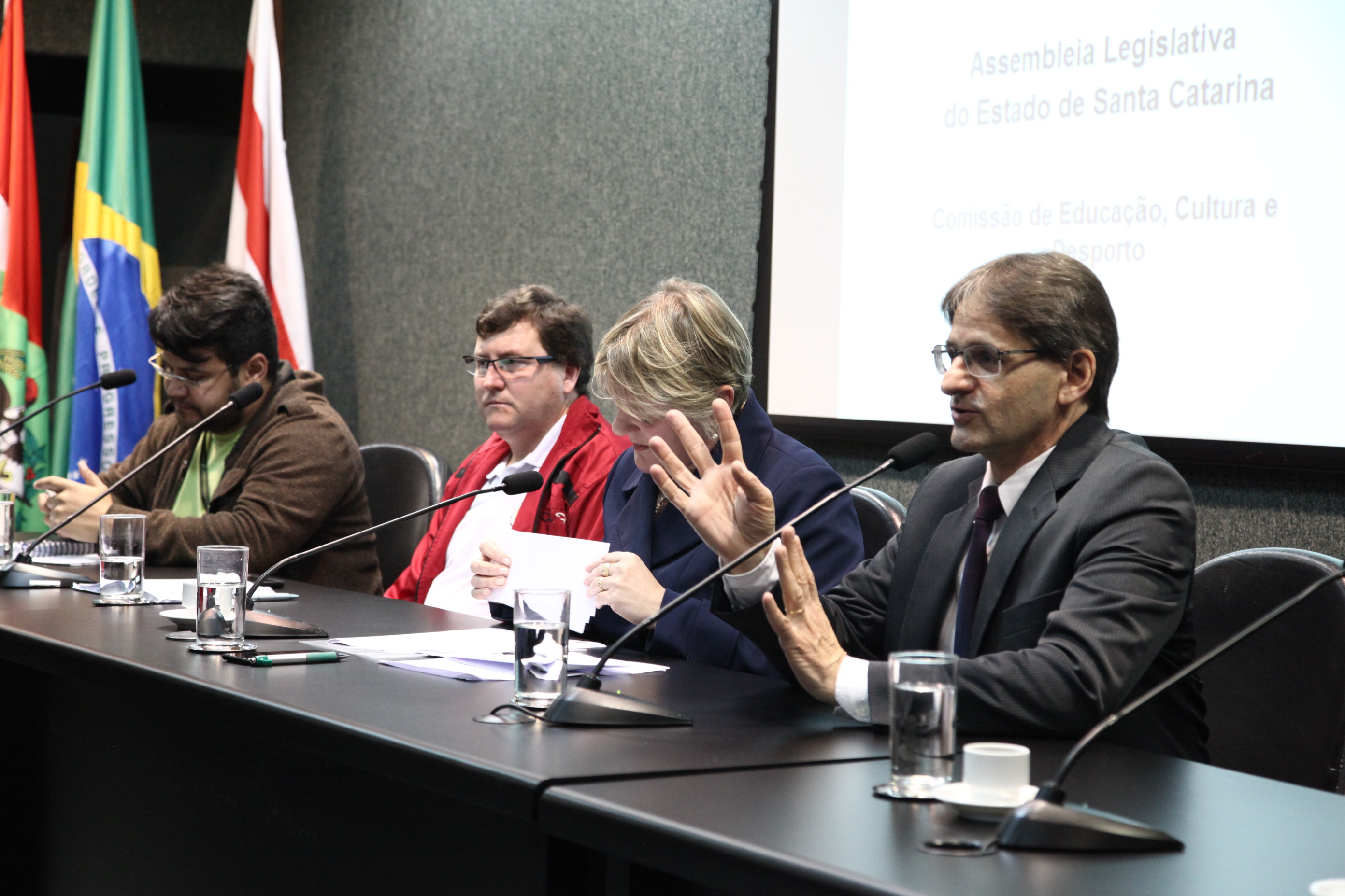 Discussão Relativas á Disciplina de Espanhol na Educação Básica em SC''