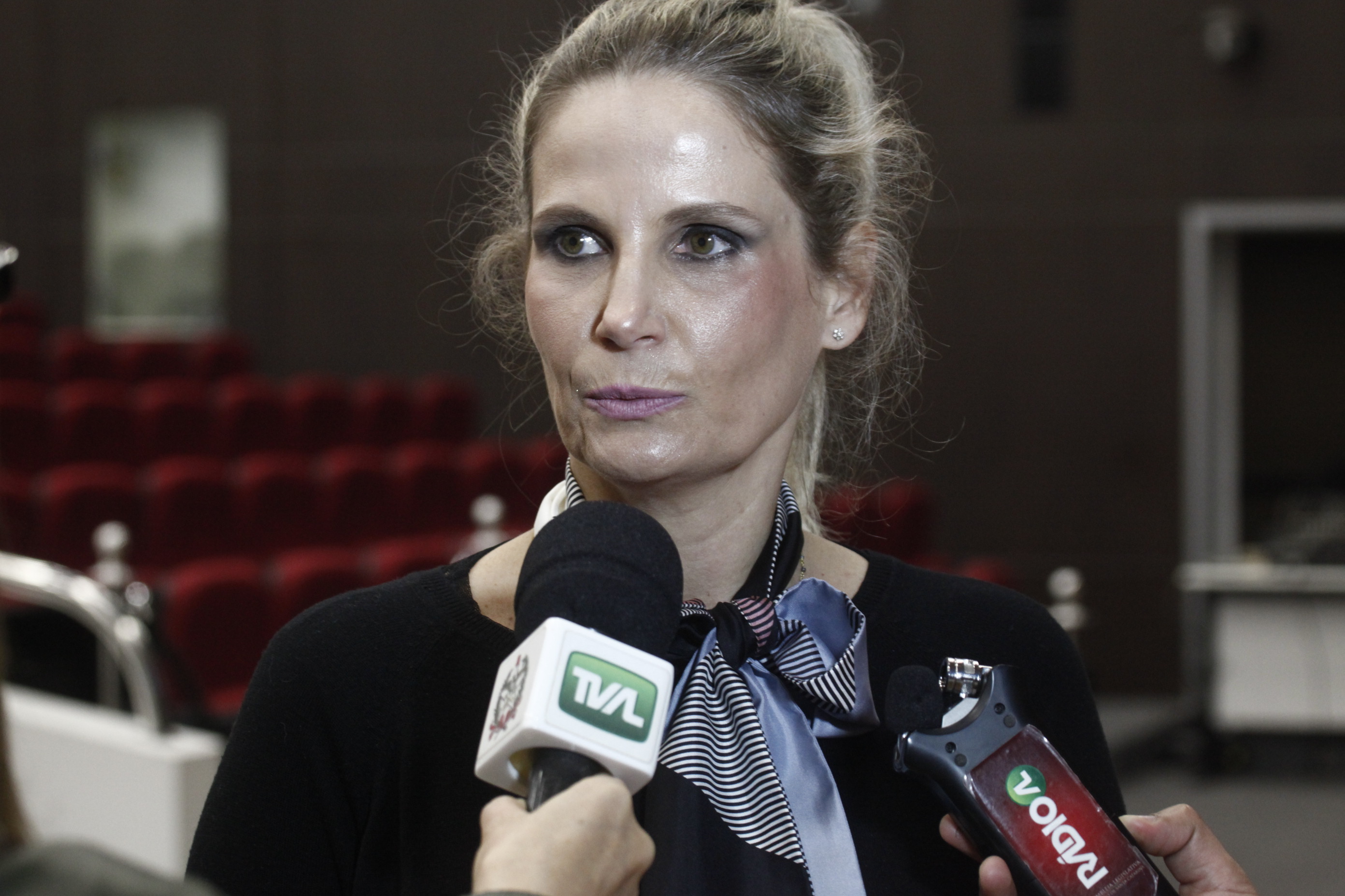 Ana Luisa schmidt Ramos