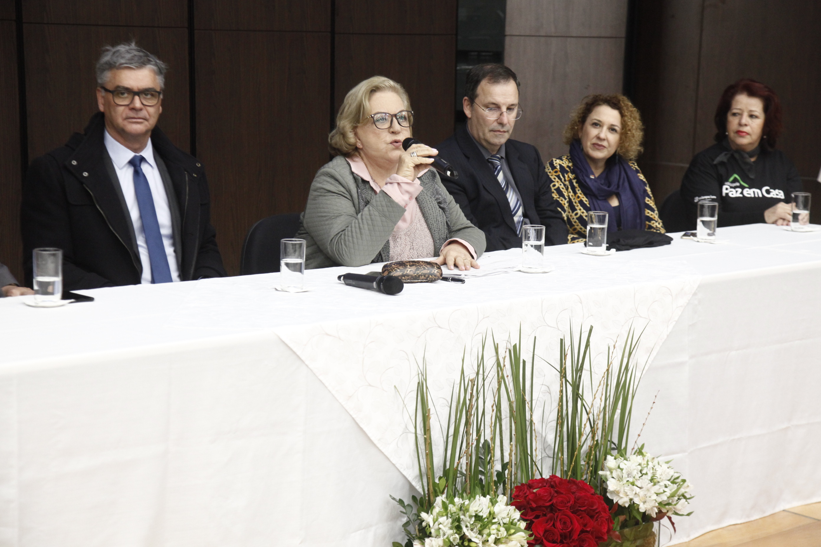 TJ SC_Campanha Justiça pela paz em Casa