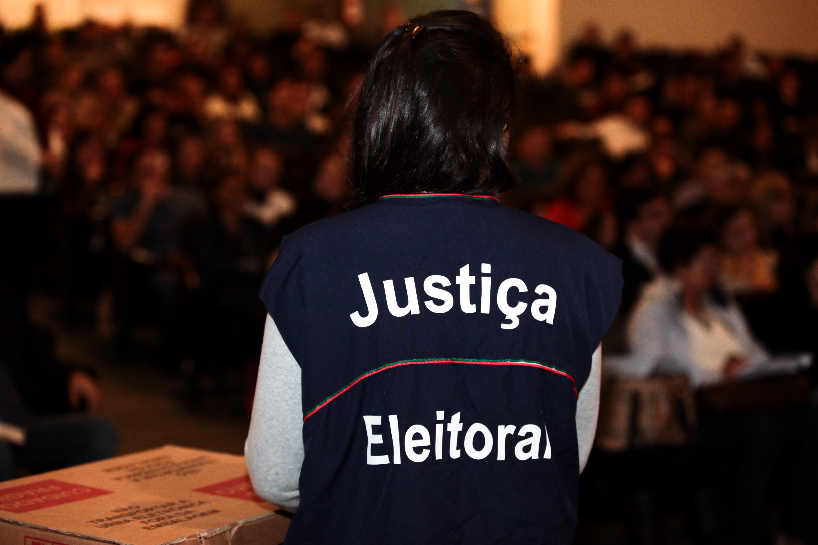 Capacitação de Mesários, Delegados e Auxiliares