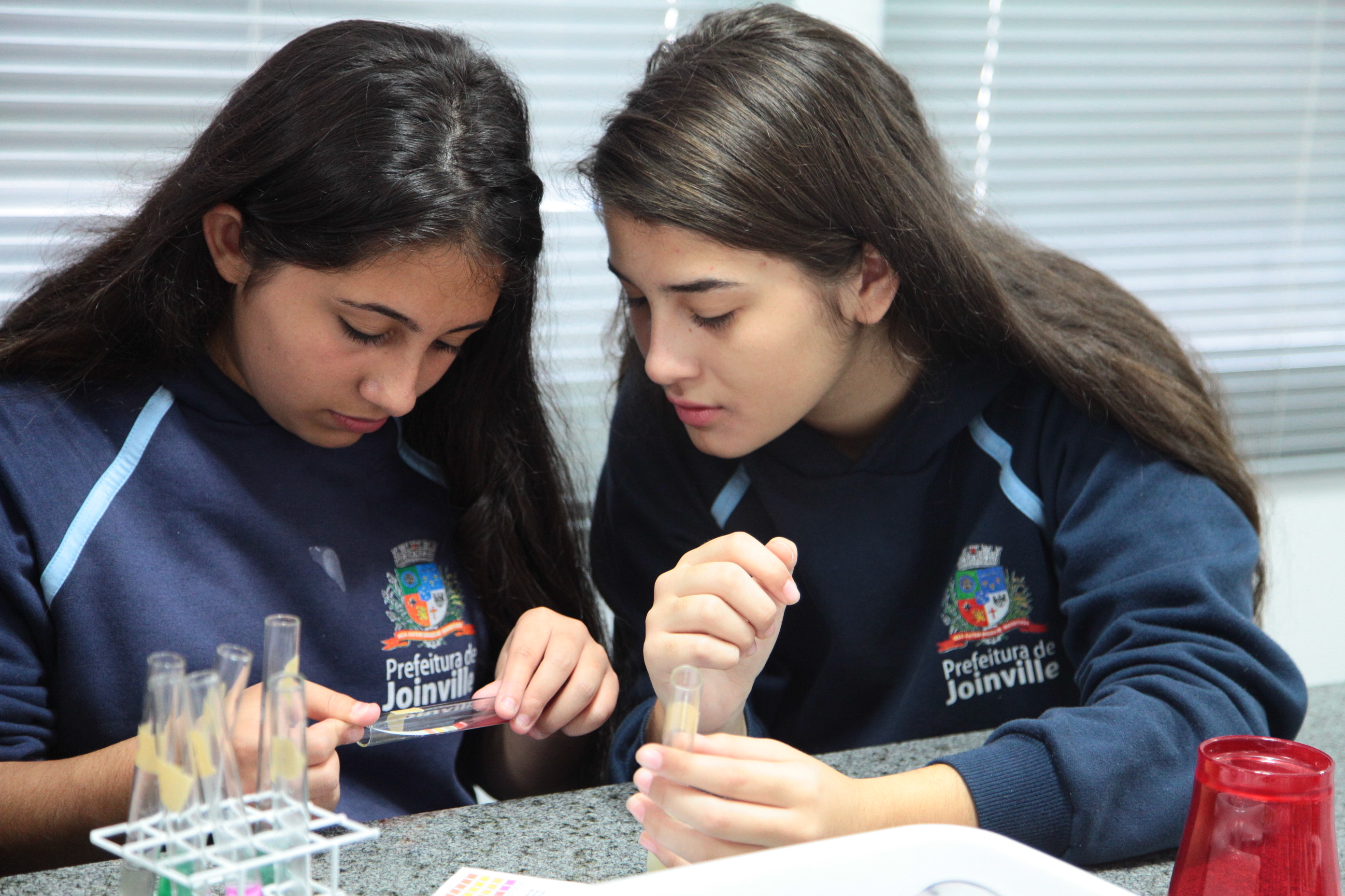 Metodologia Educacional de Singapura - Alunas Ana Carolina e Bárbara Santos.