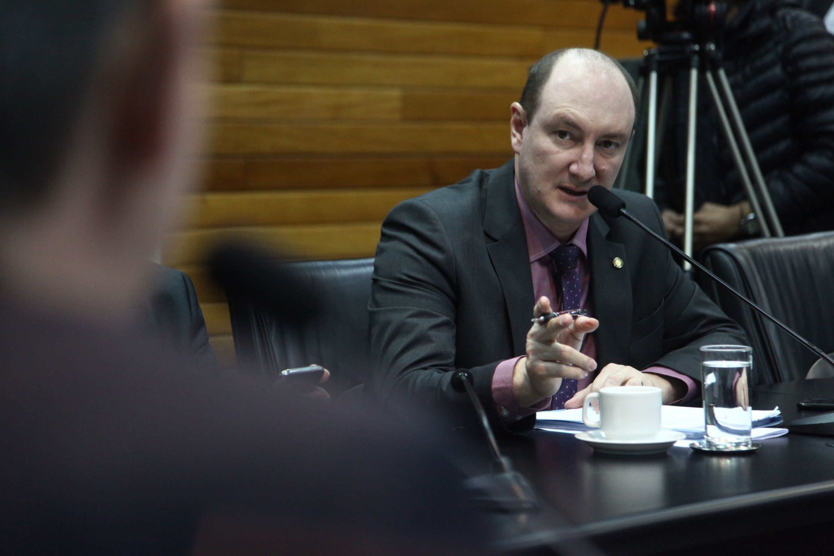 Deputado Mauro de Nadal (MDB)