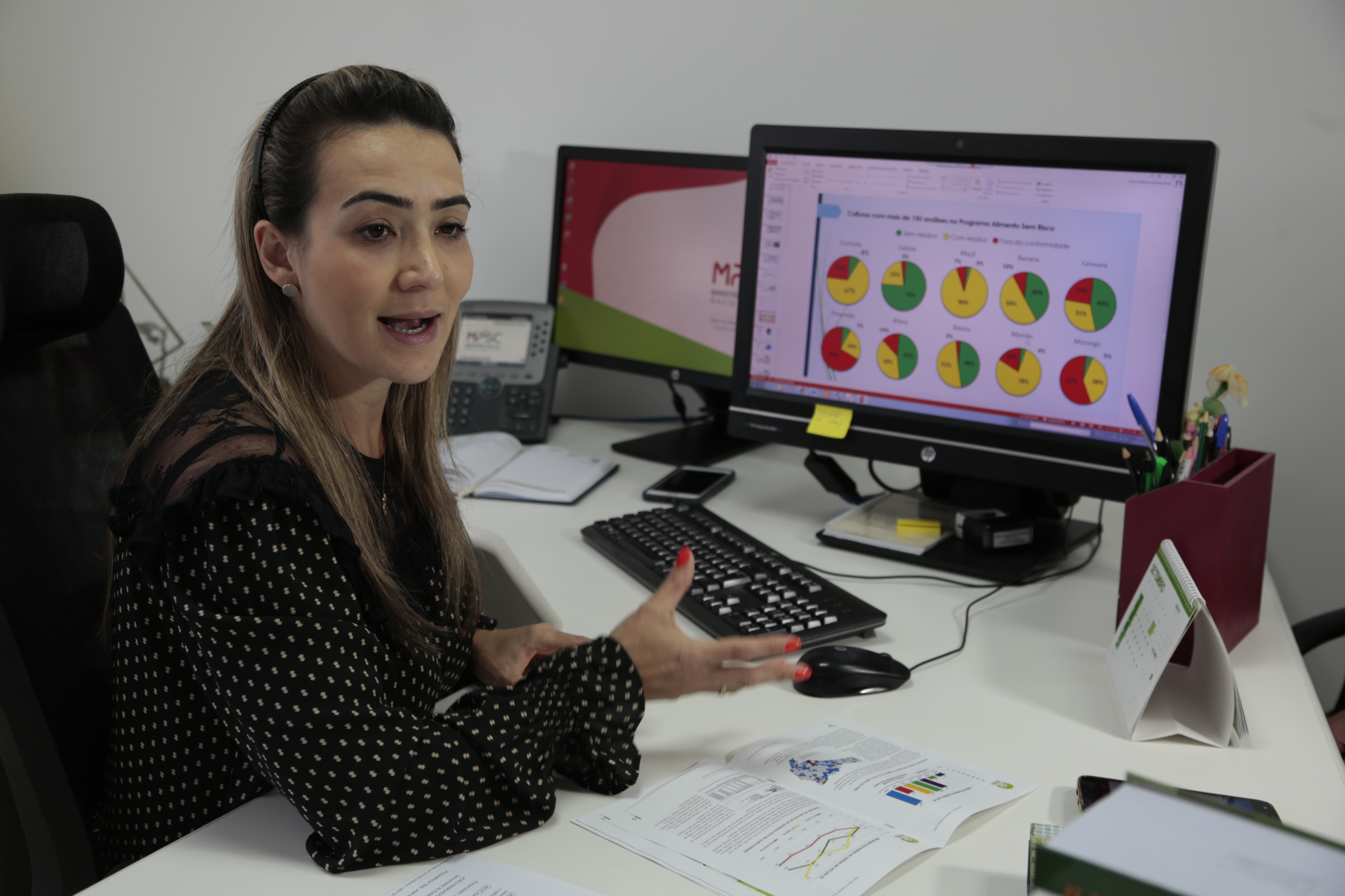 Greicia Malheiros - promotora de justiça de SC.