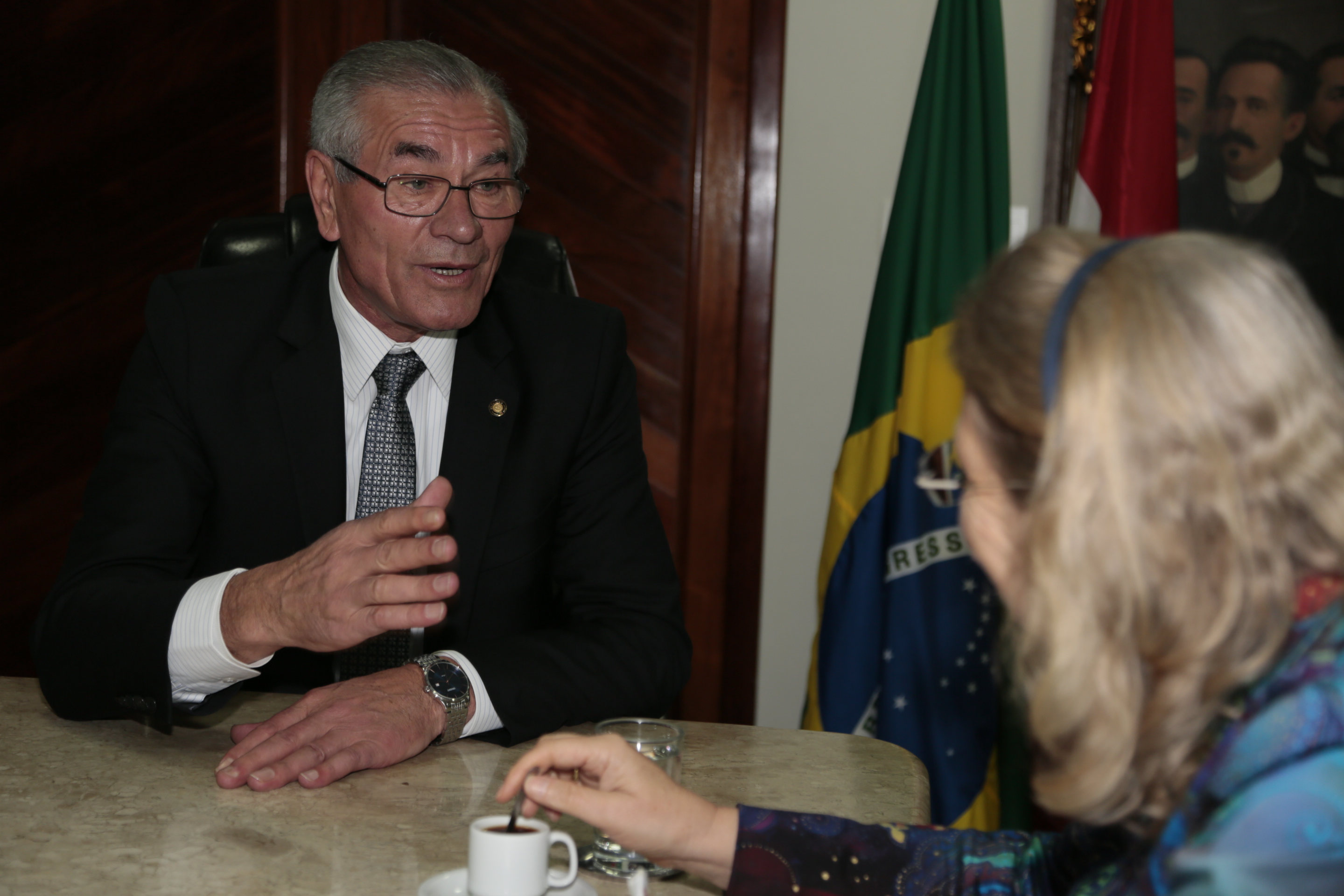 Embaixadora da Áustria Irene Giner-Reichl é Recebida na Presidência da Casa.