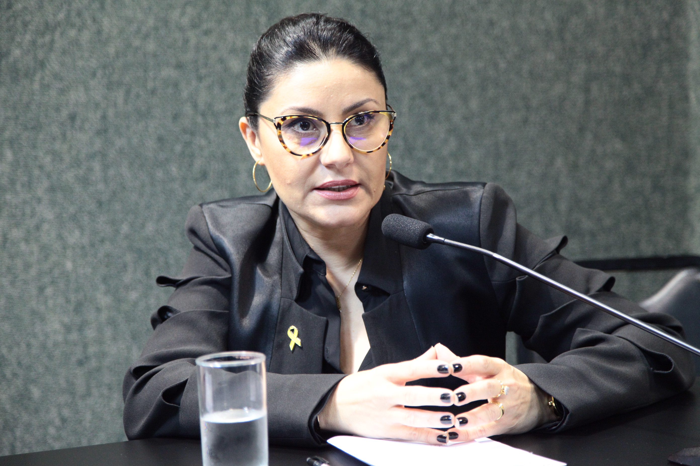 Audiência Pública - Setembro Amarelo - Lilian Lucas