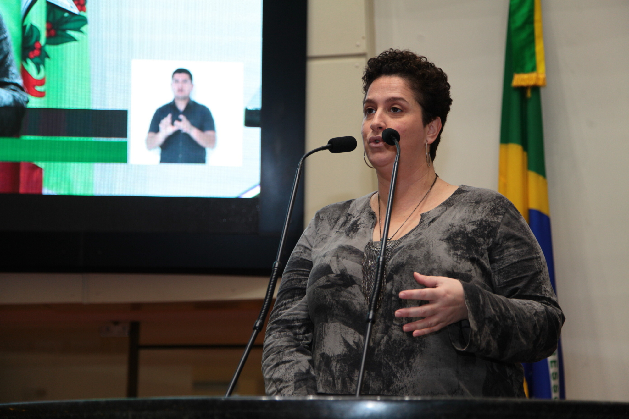 Artistas cobram lançamento do Edital Elisabete Anderle 2018