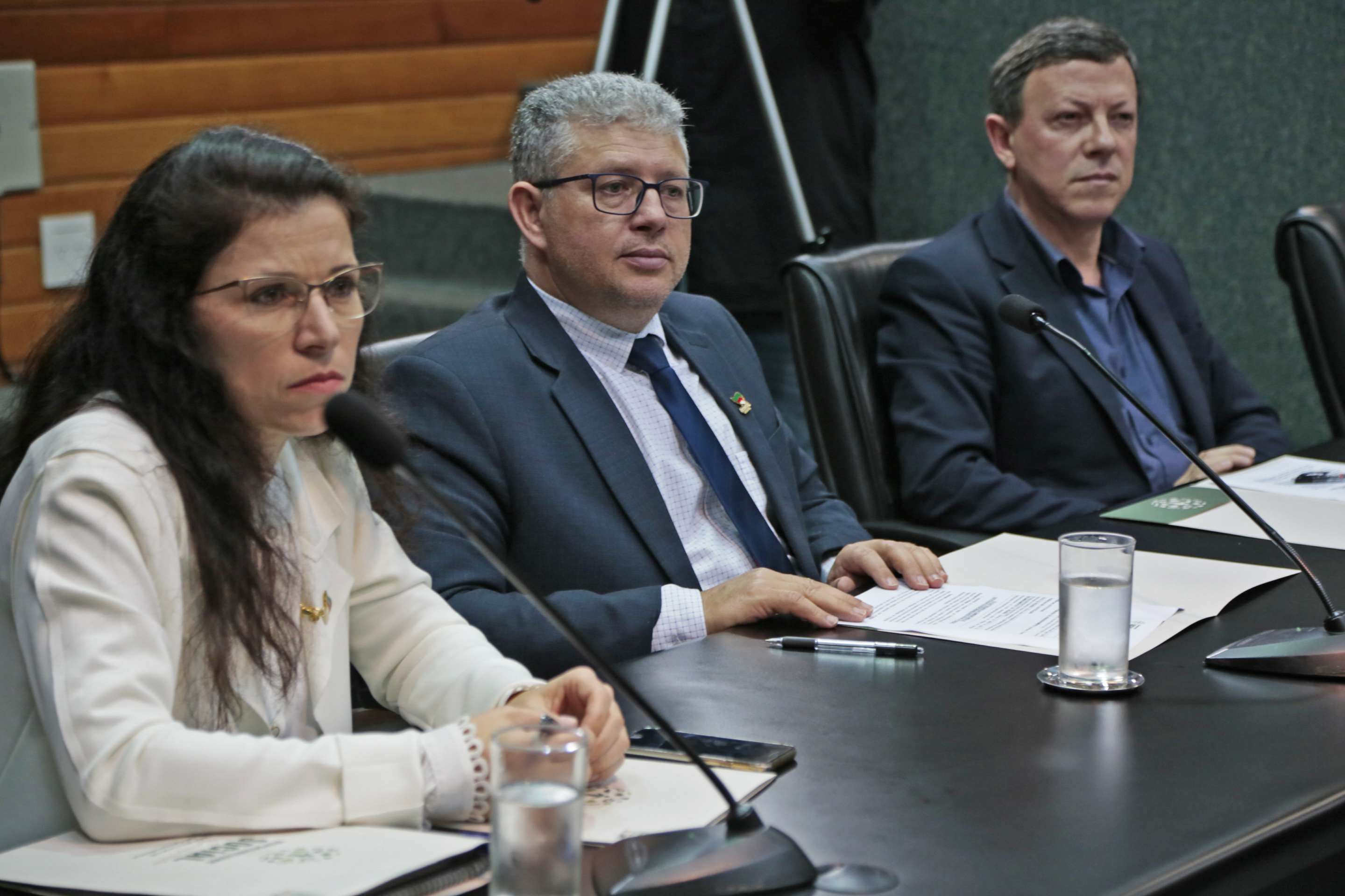 Reunião da Comissão de Responsabilidade Social.