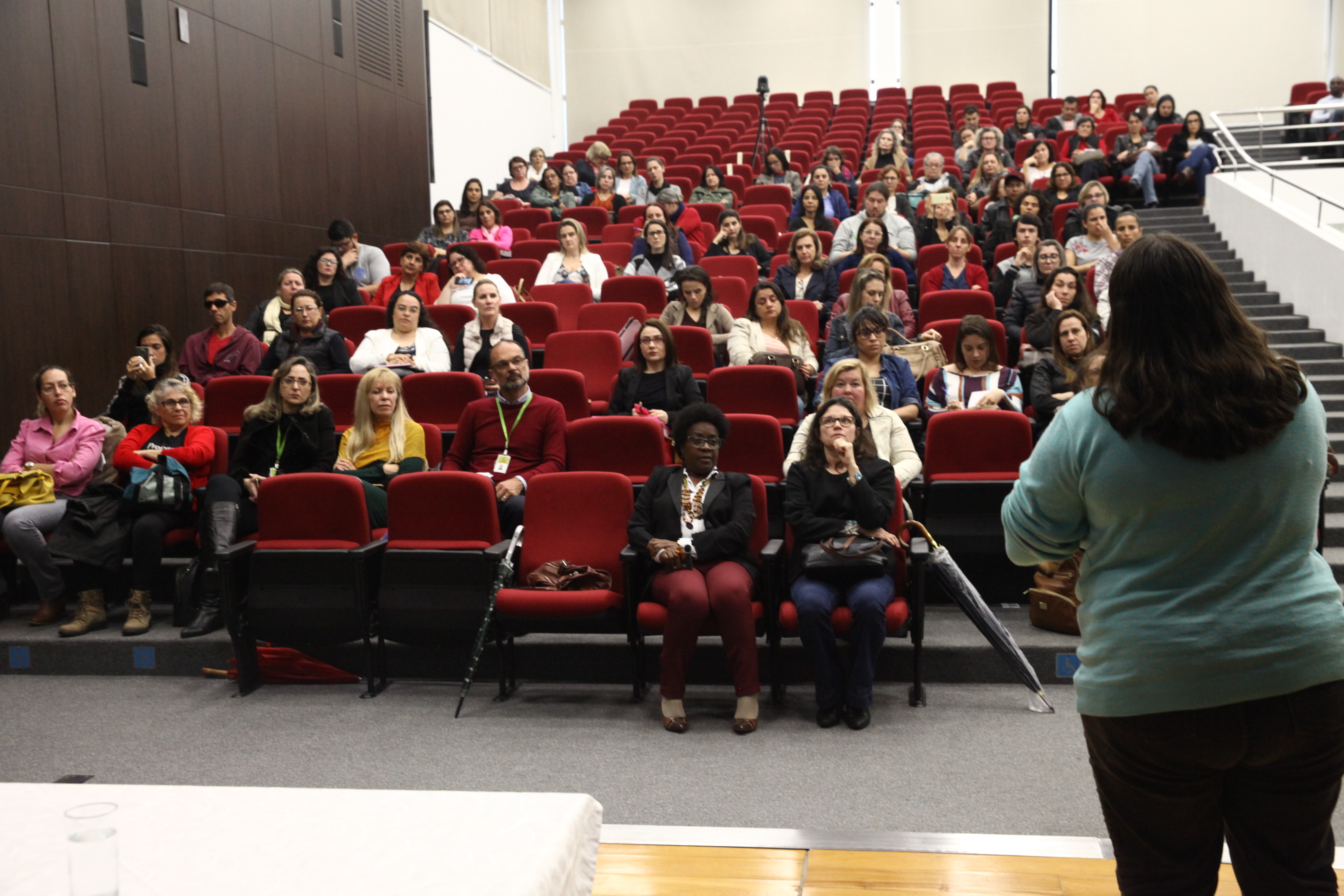 Capacitação Sobre violência Doméstica Voltada Para Professores