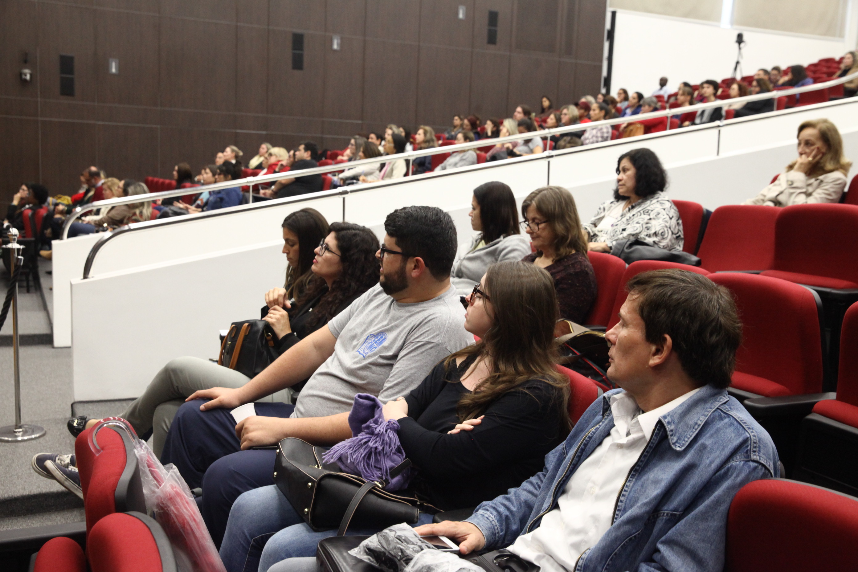 Capacitação Sobre violência Doméstica Voltada Para Professores