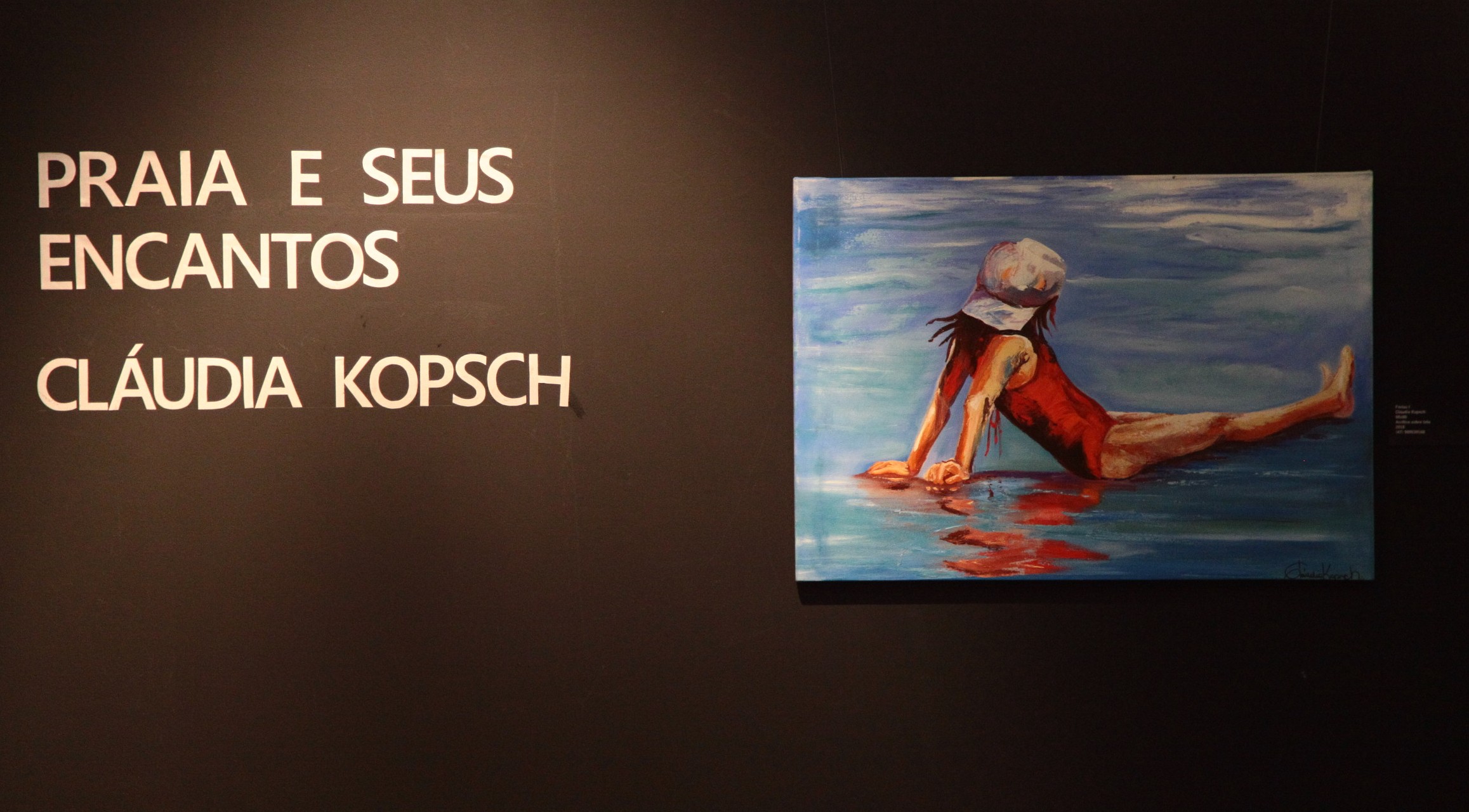 Exposição Praias e Seus Encantos - Cláudia Kopsch