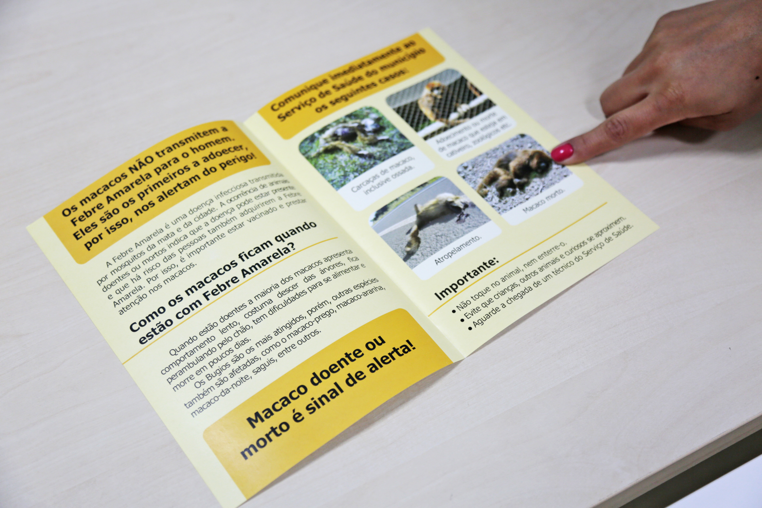 Dive Informa sobre Vacinação contra a Febre Amarela.