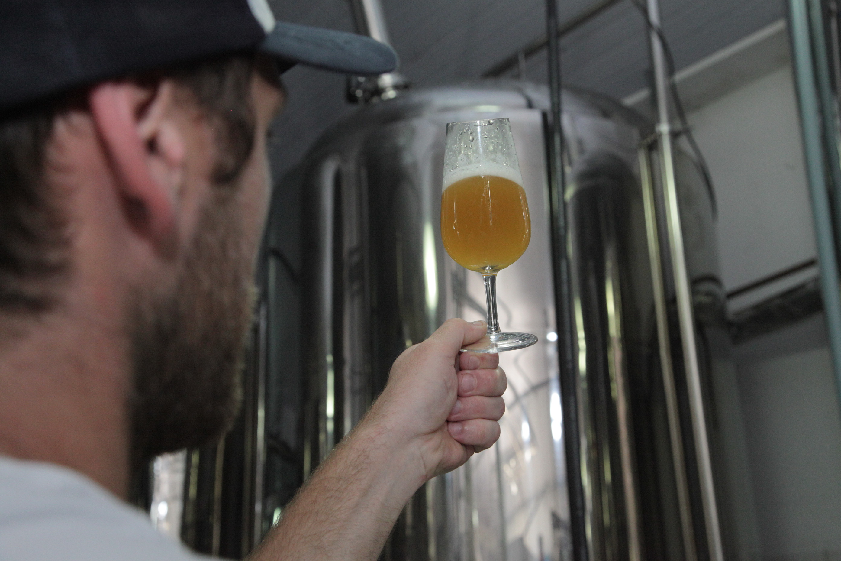 Cerveja Artesanal em Santa Catarina (foto: Solon Soares)