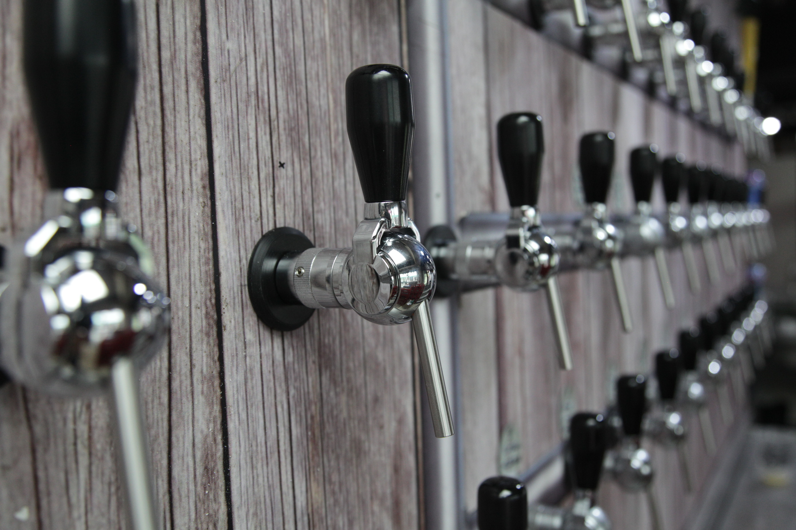 Cerveja Artesanal em Santa Catarina (foto: Solon Soares)