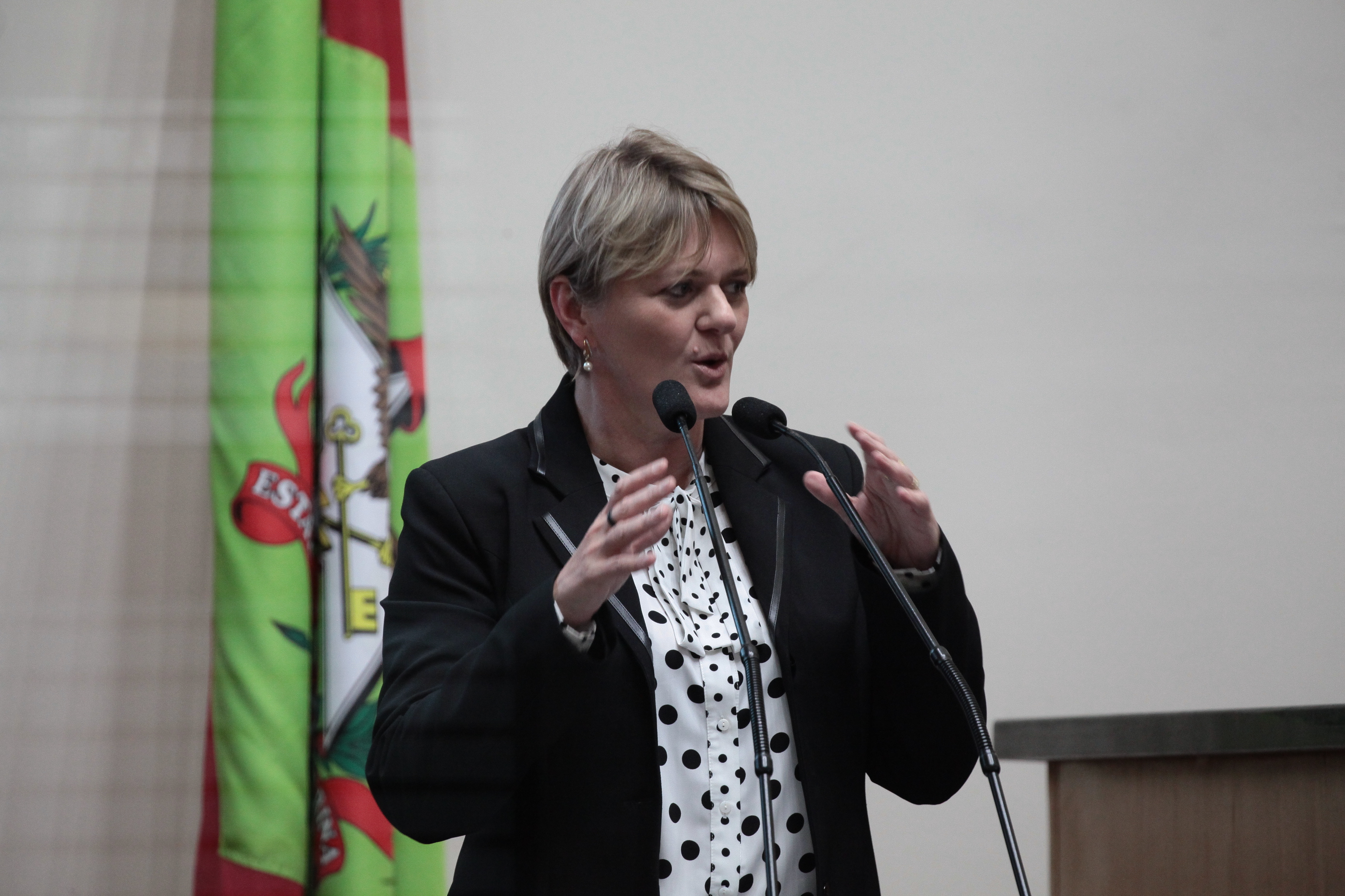 Sessão Ordinária