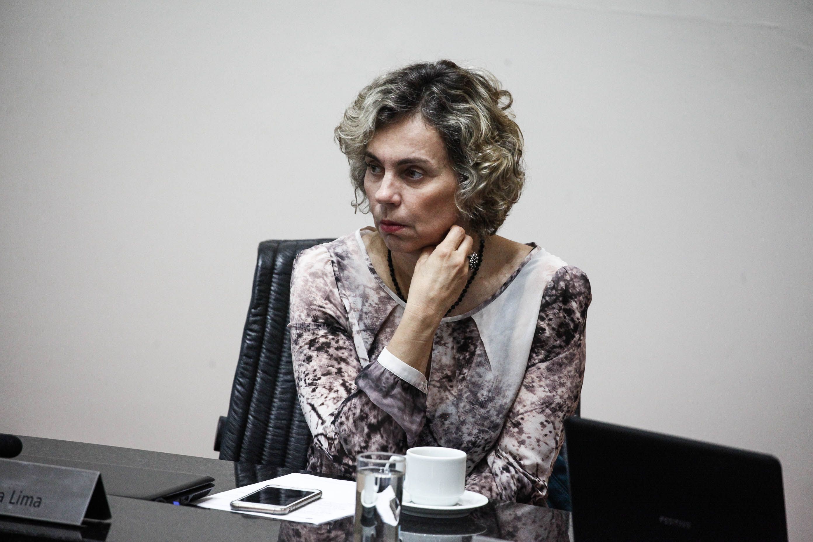 Deputada Ana Paula Lima (PT)