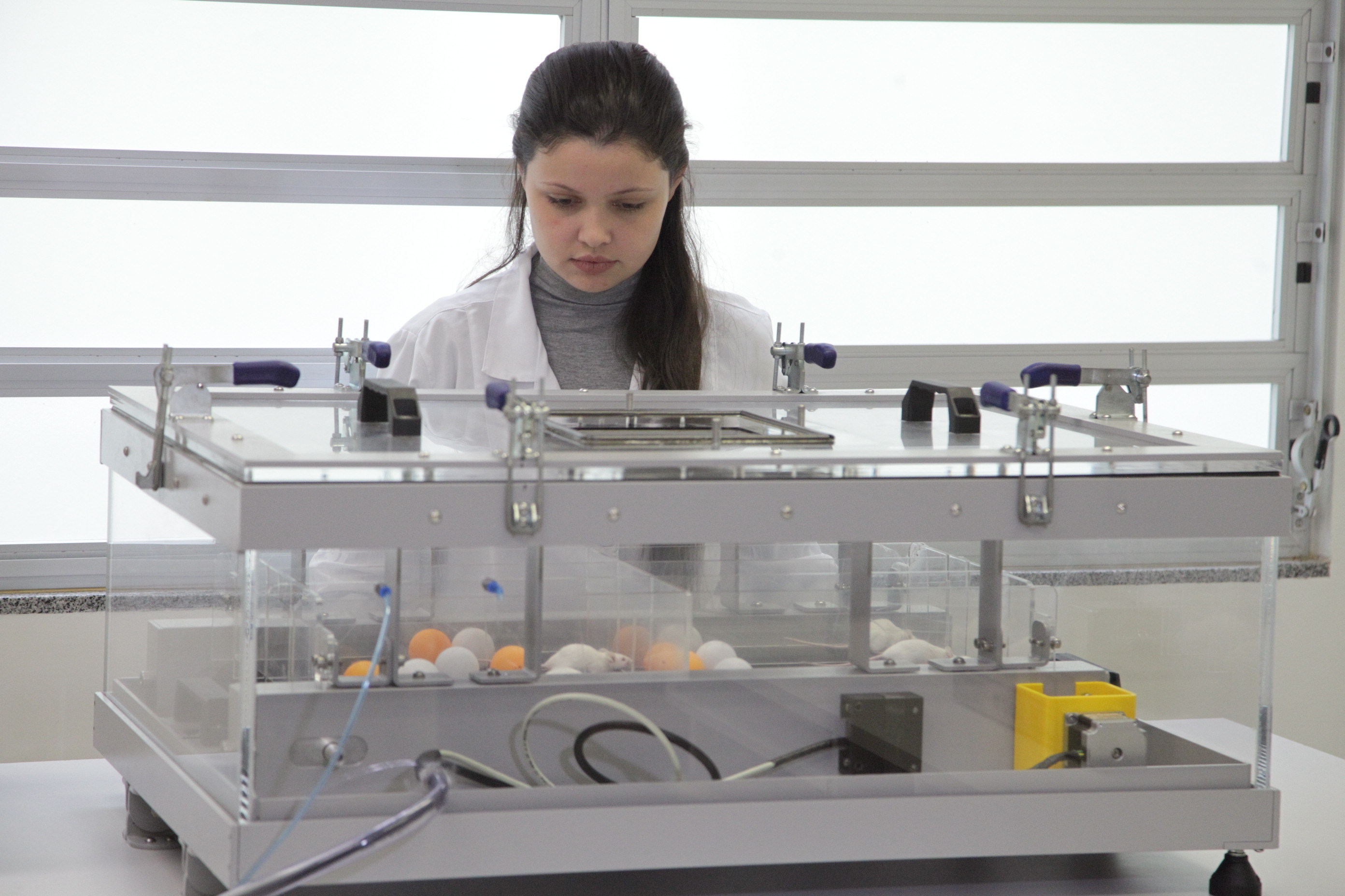 UDESC - Esteira Ergómetrica para Pesquisas com Roedore