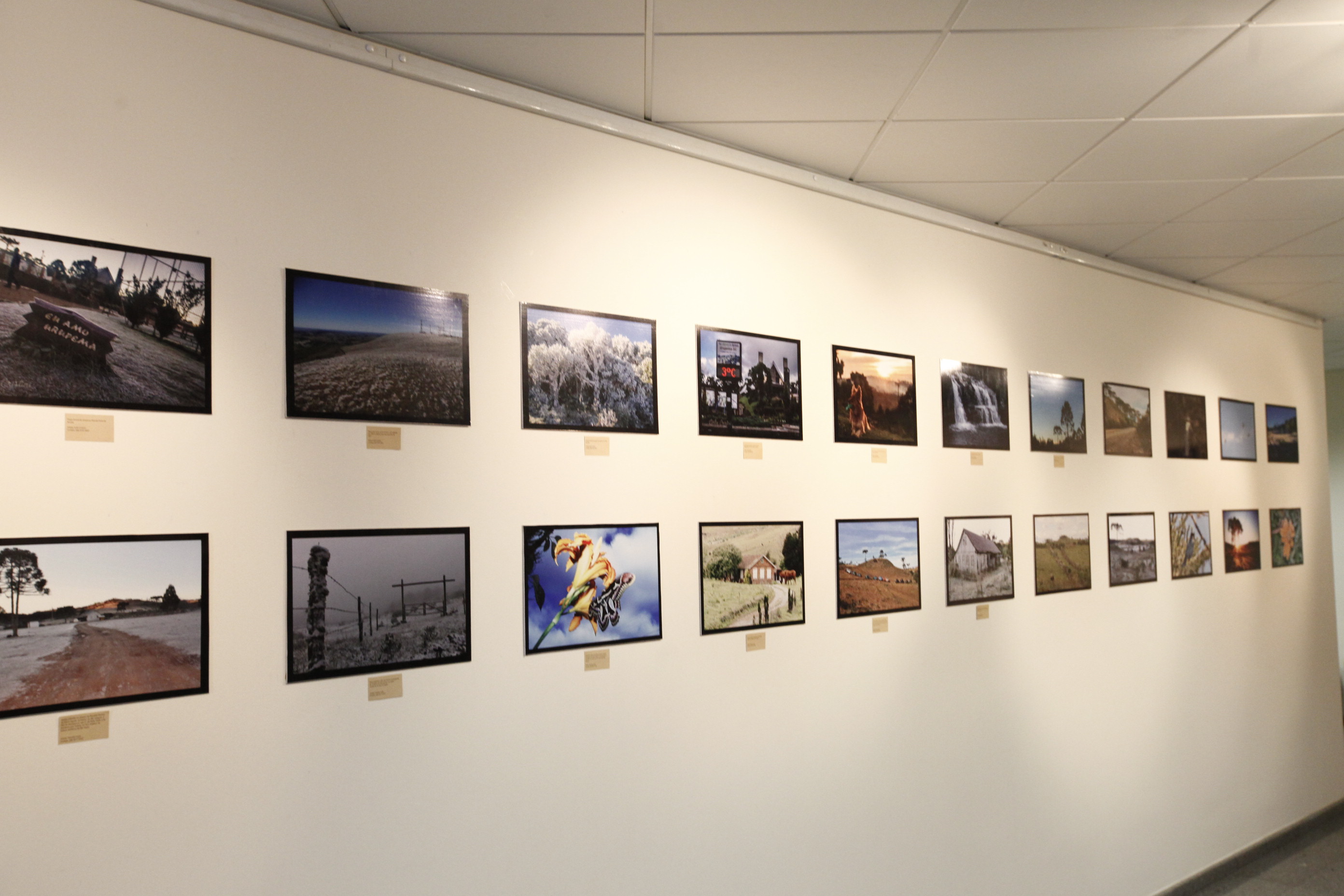 Exposição_ Foco na Serra Catarinense