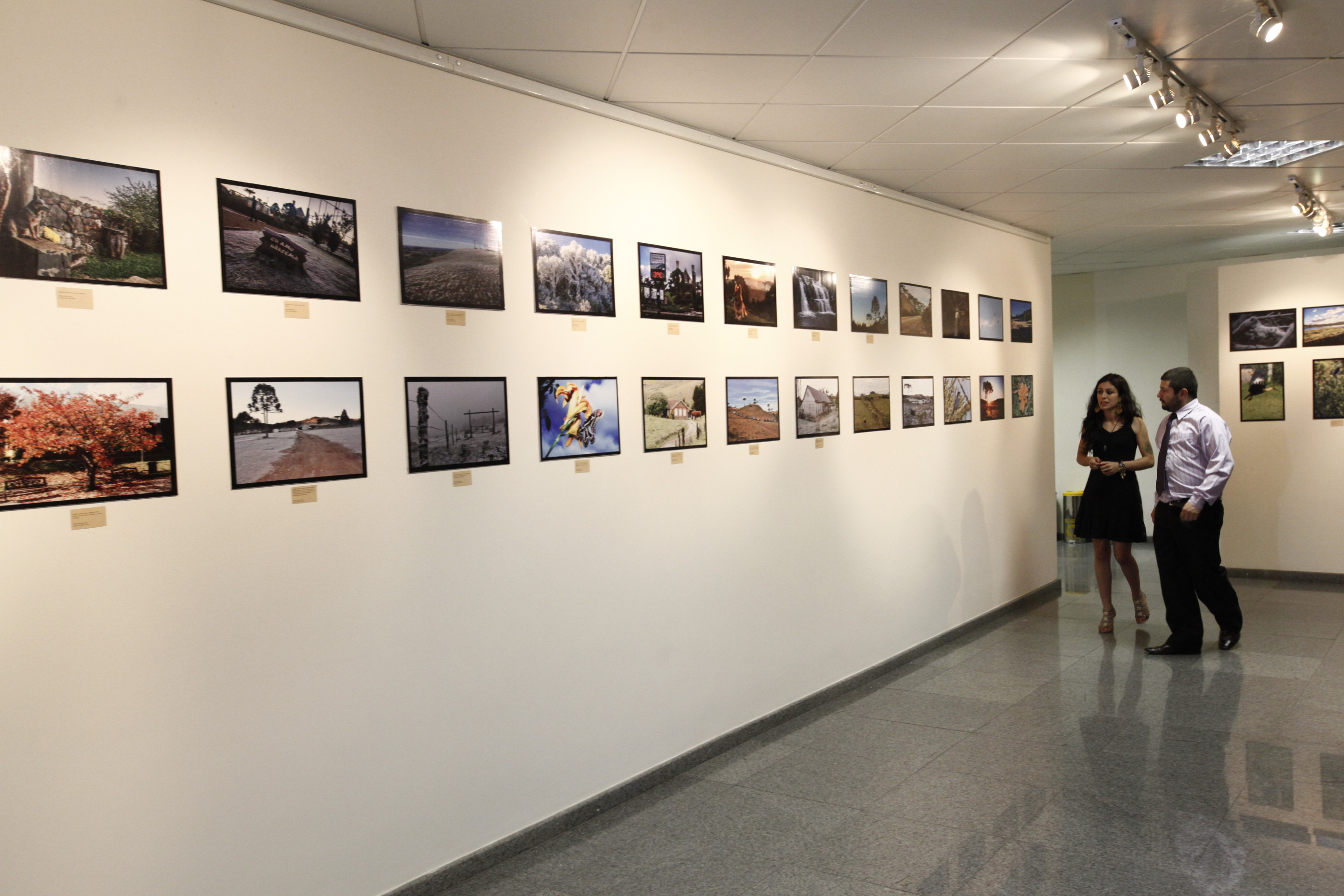 Exposição_ Foco na Serra Catarinense