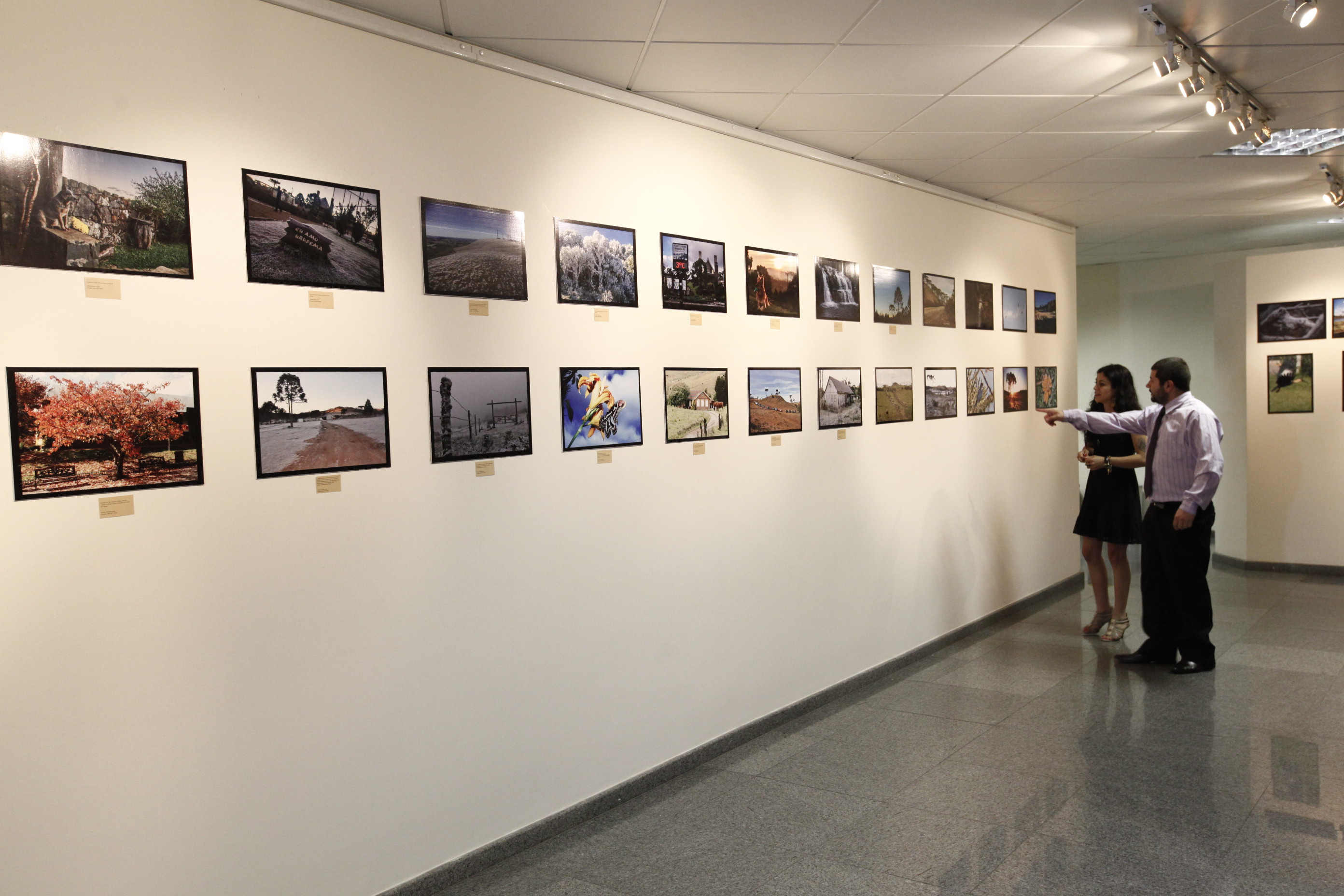 Exposição_ Foco na Serra Catarinense