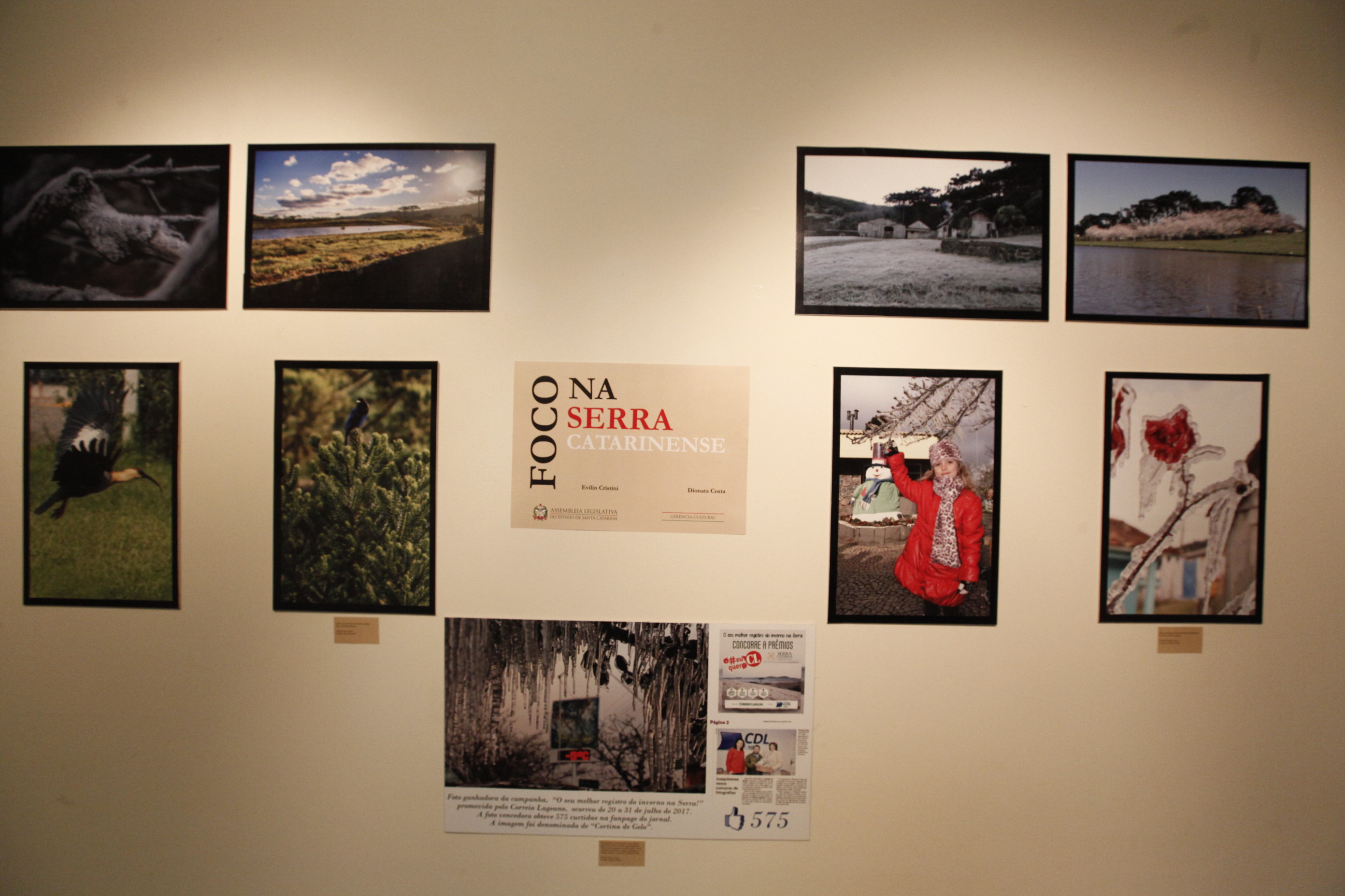 Exposição_ Foco na Serra Catarinense