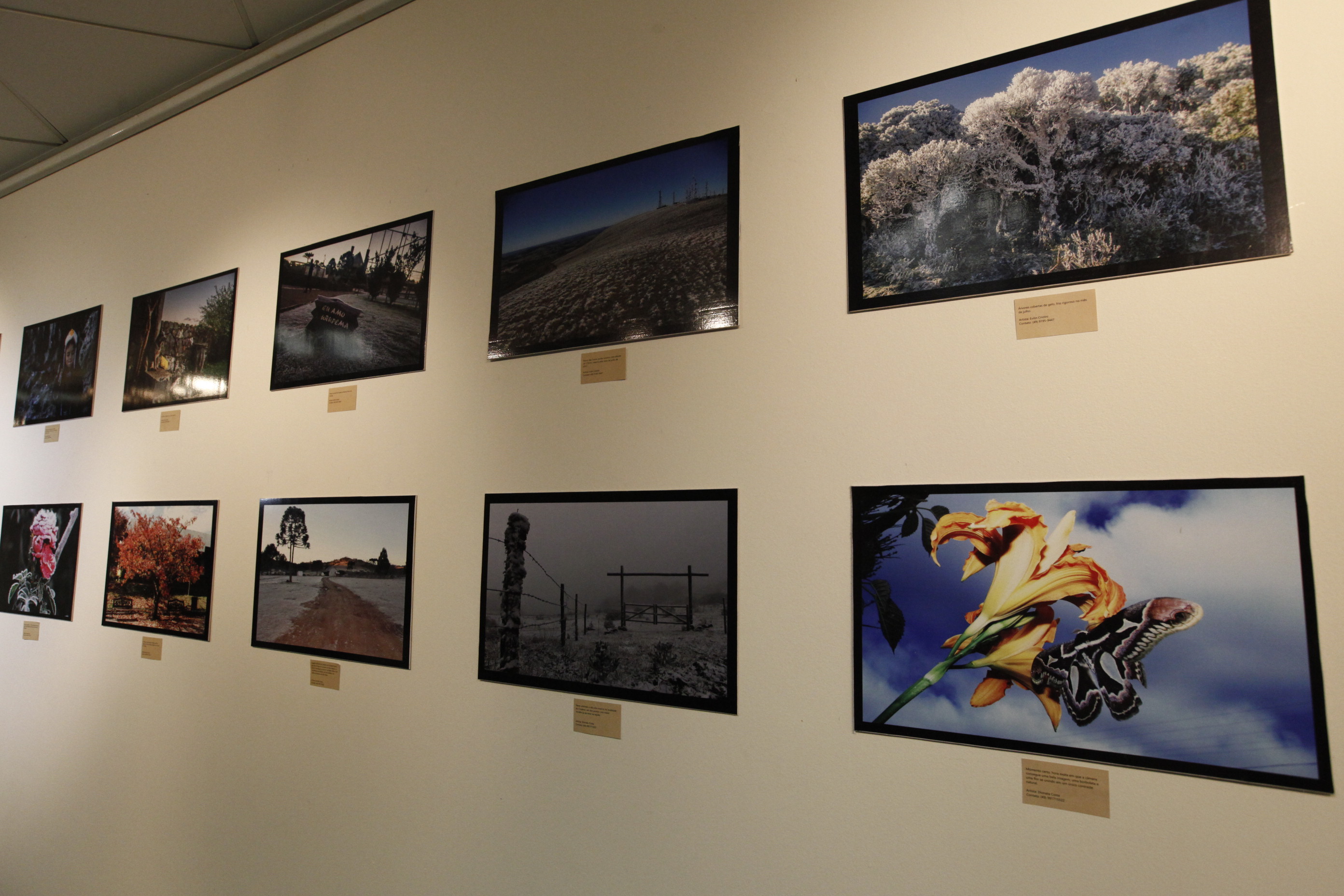 Exposição_ Foco na Serra Catarinense