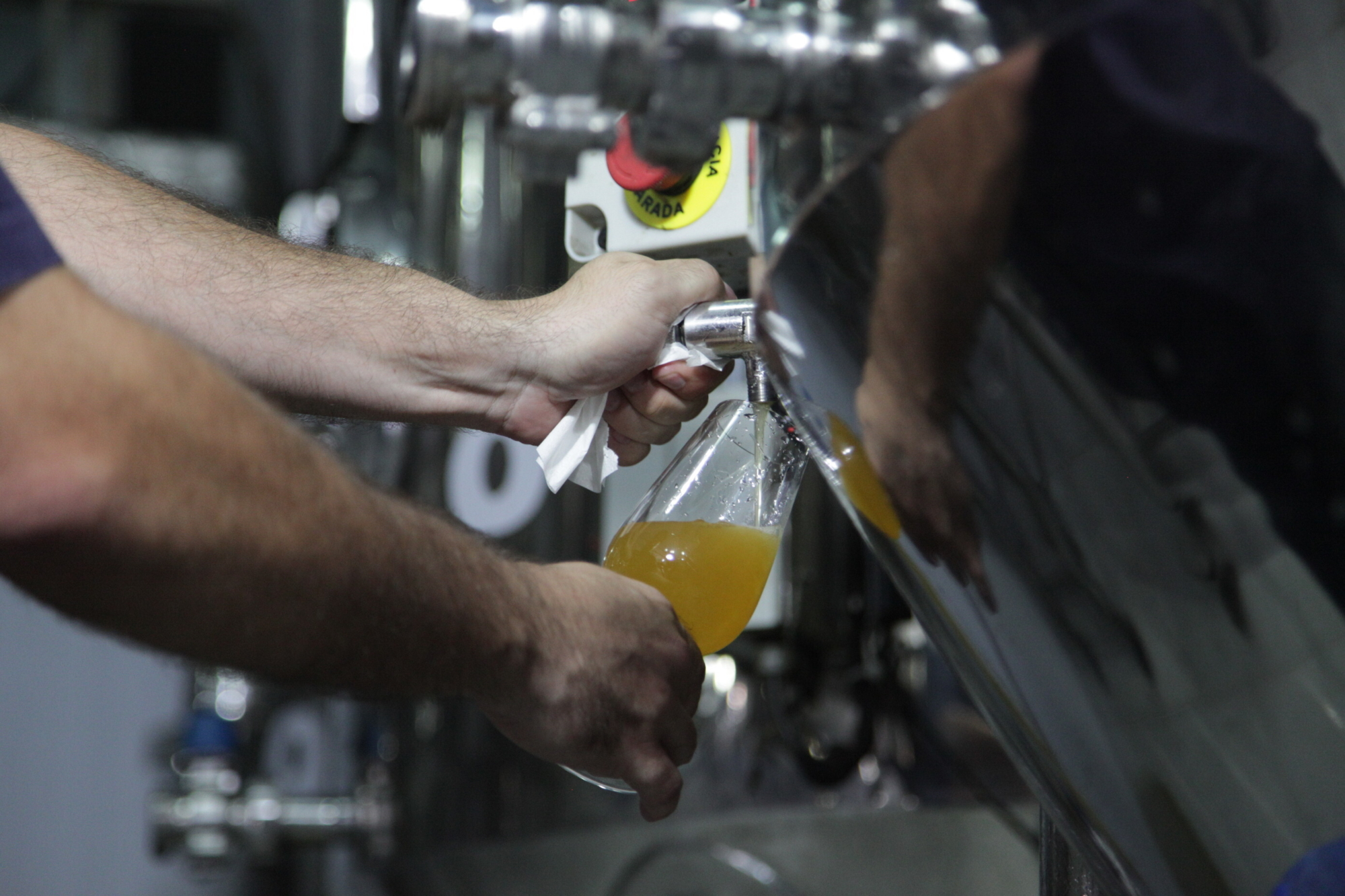 Desde 2014 funciona em Blumenau a Escola Superior de Malte e Cerveja (ESMC), que oferece cursos de degustação de uma hora