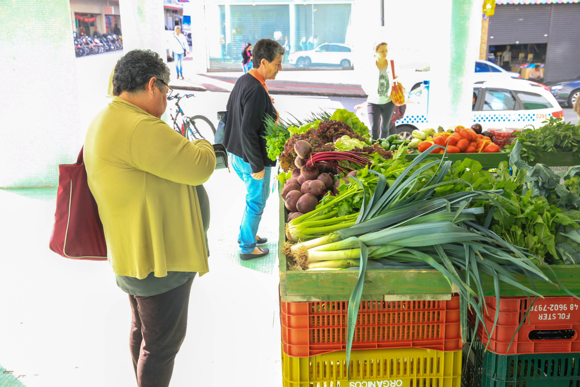 Plenário aprova projetos sobre homenagens e doação de sobras de alimentos