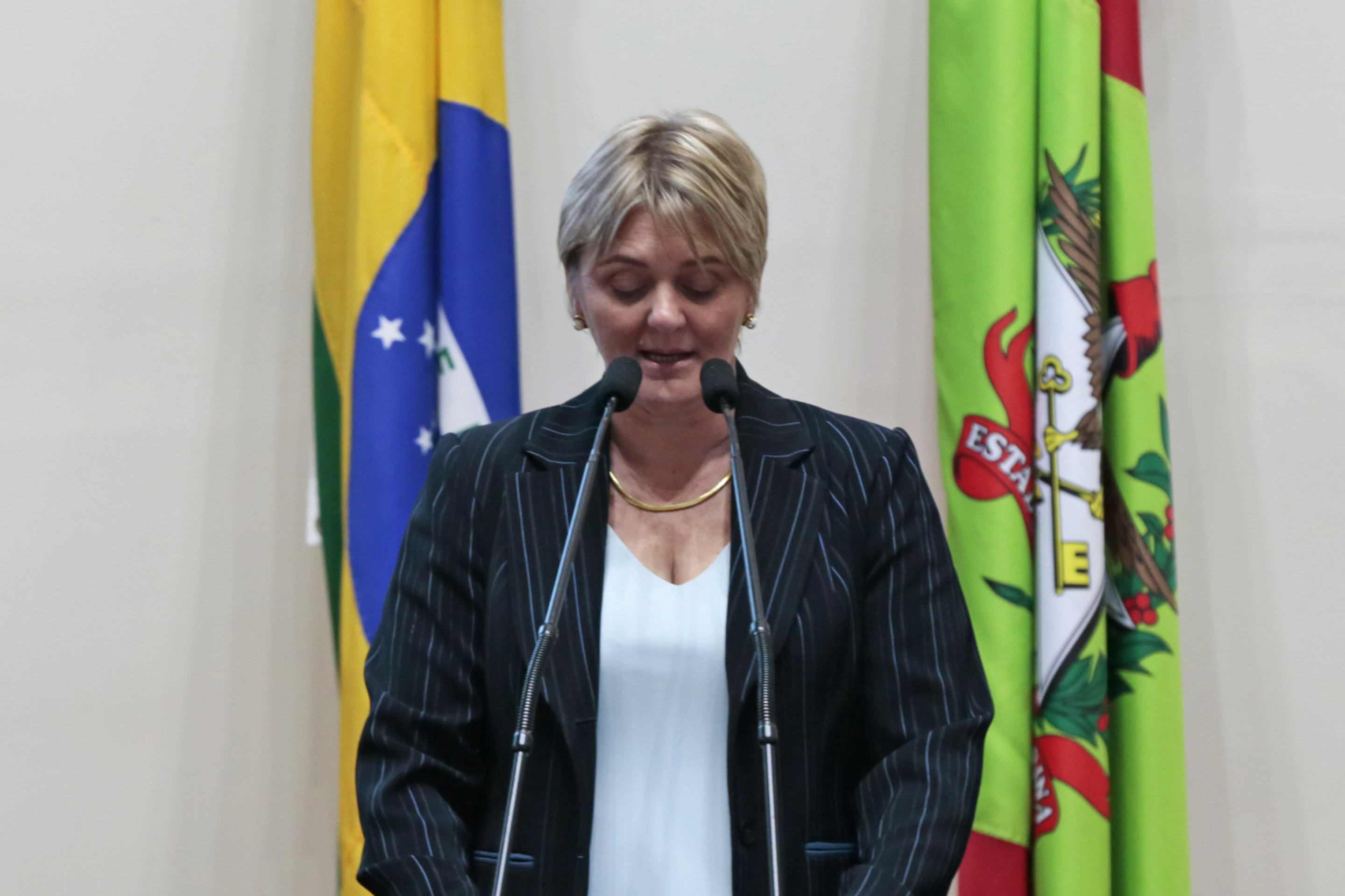 Deputada Luciane Carminatti (PT)