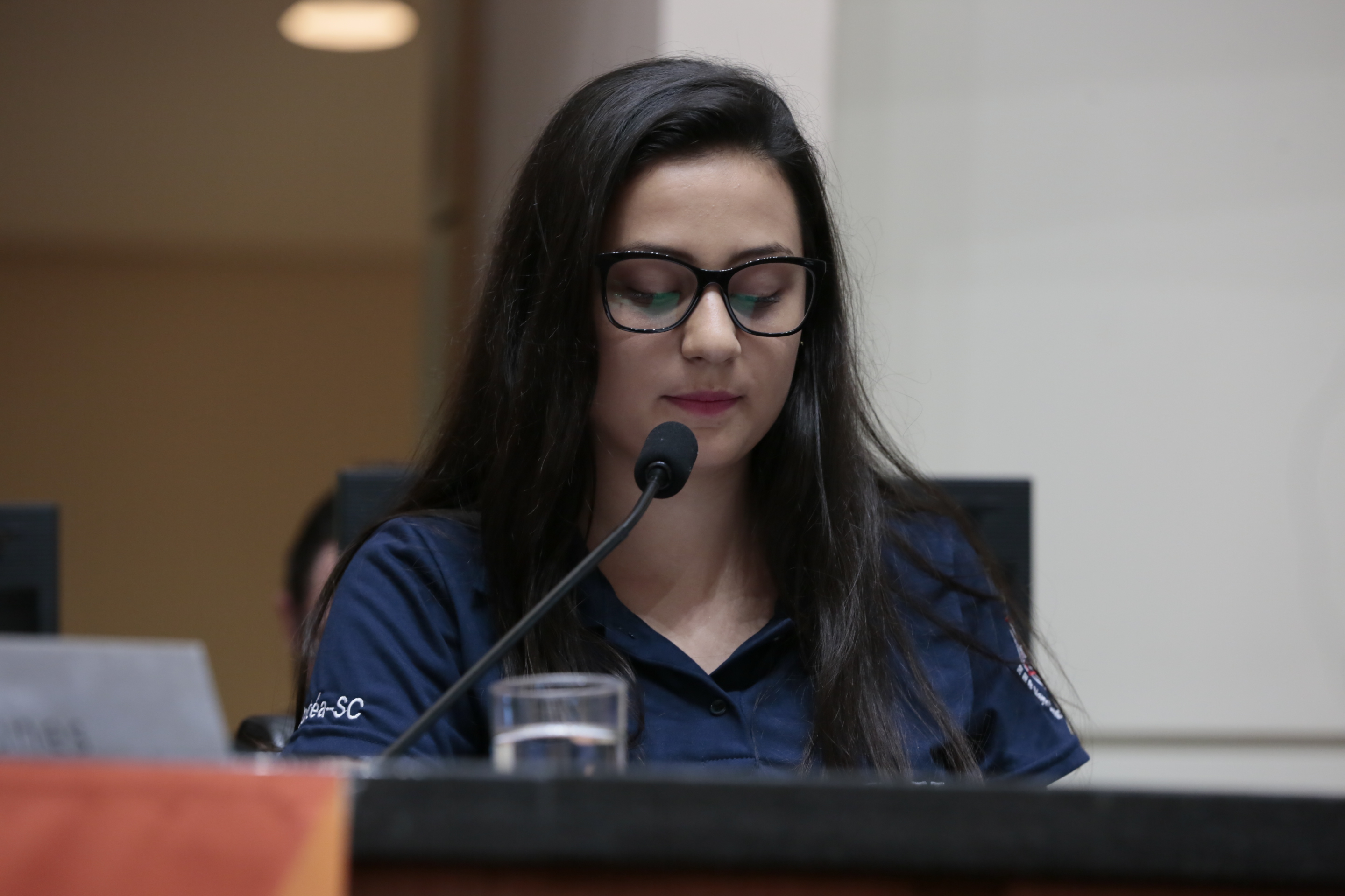 Sessão Ordinária do Parlamento Jovem.