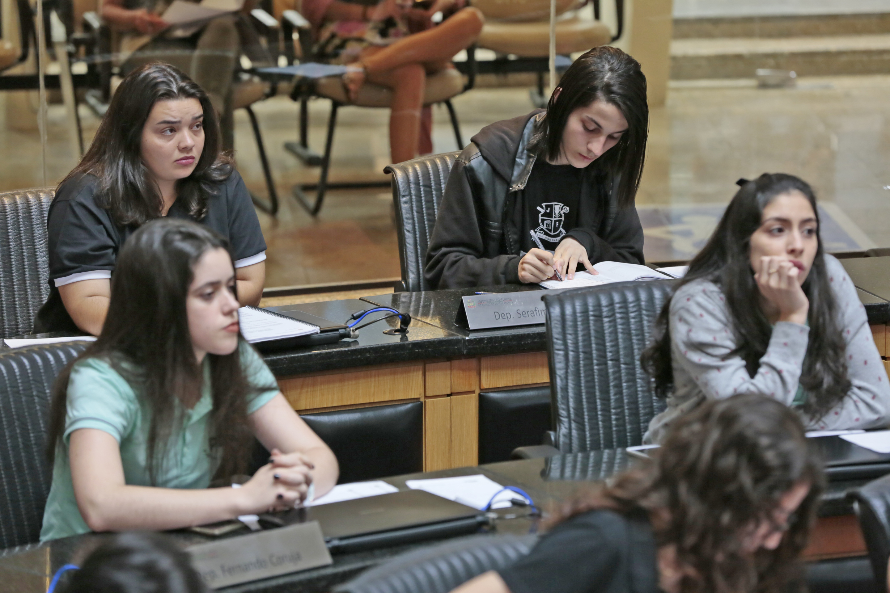 Sessão Ordinária do Parlamento Jovem.