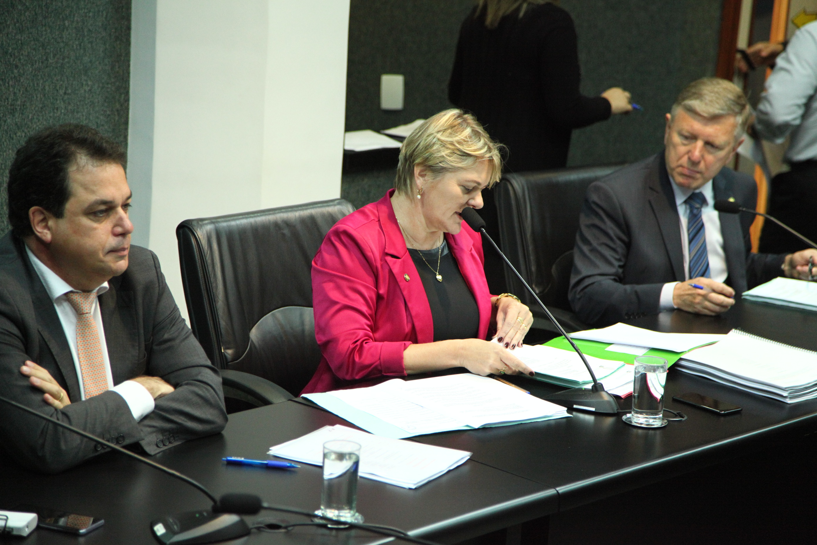 Comissão de Defesa dos Direitos da Pessoa com Deficiência