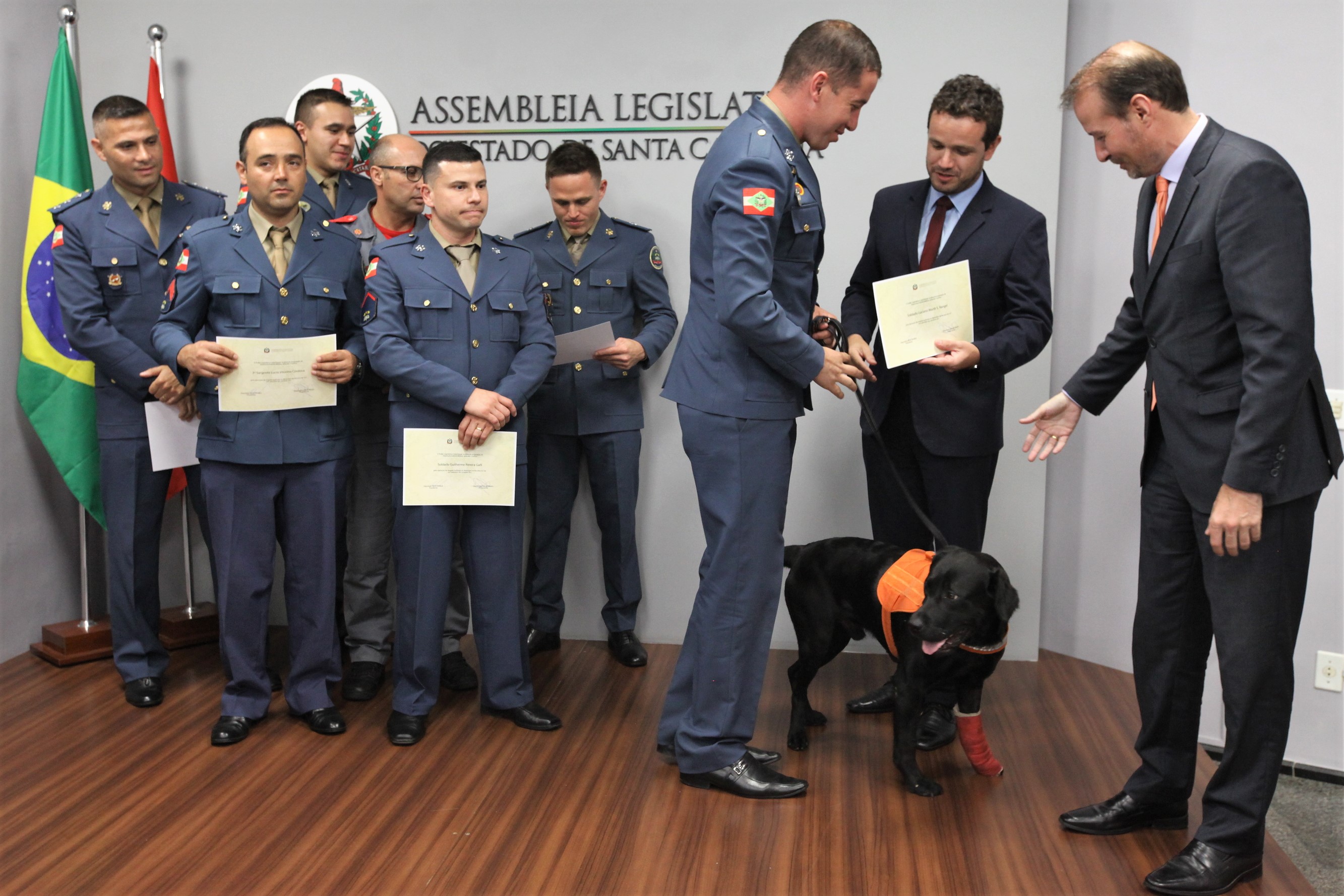 Moção de Aplauso