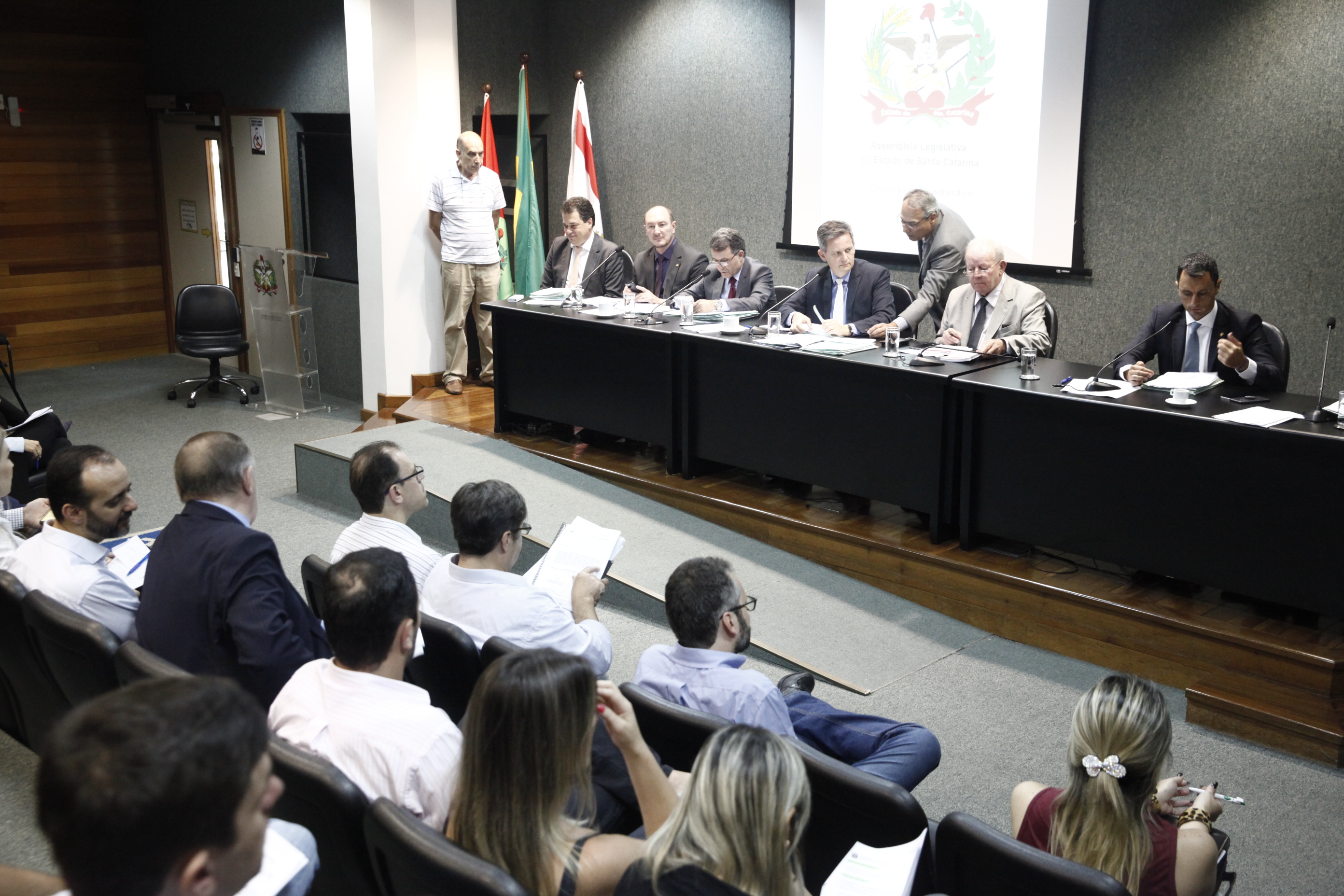 Comissão de Constituição e Justiça