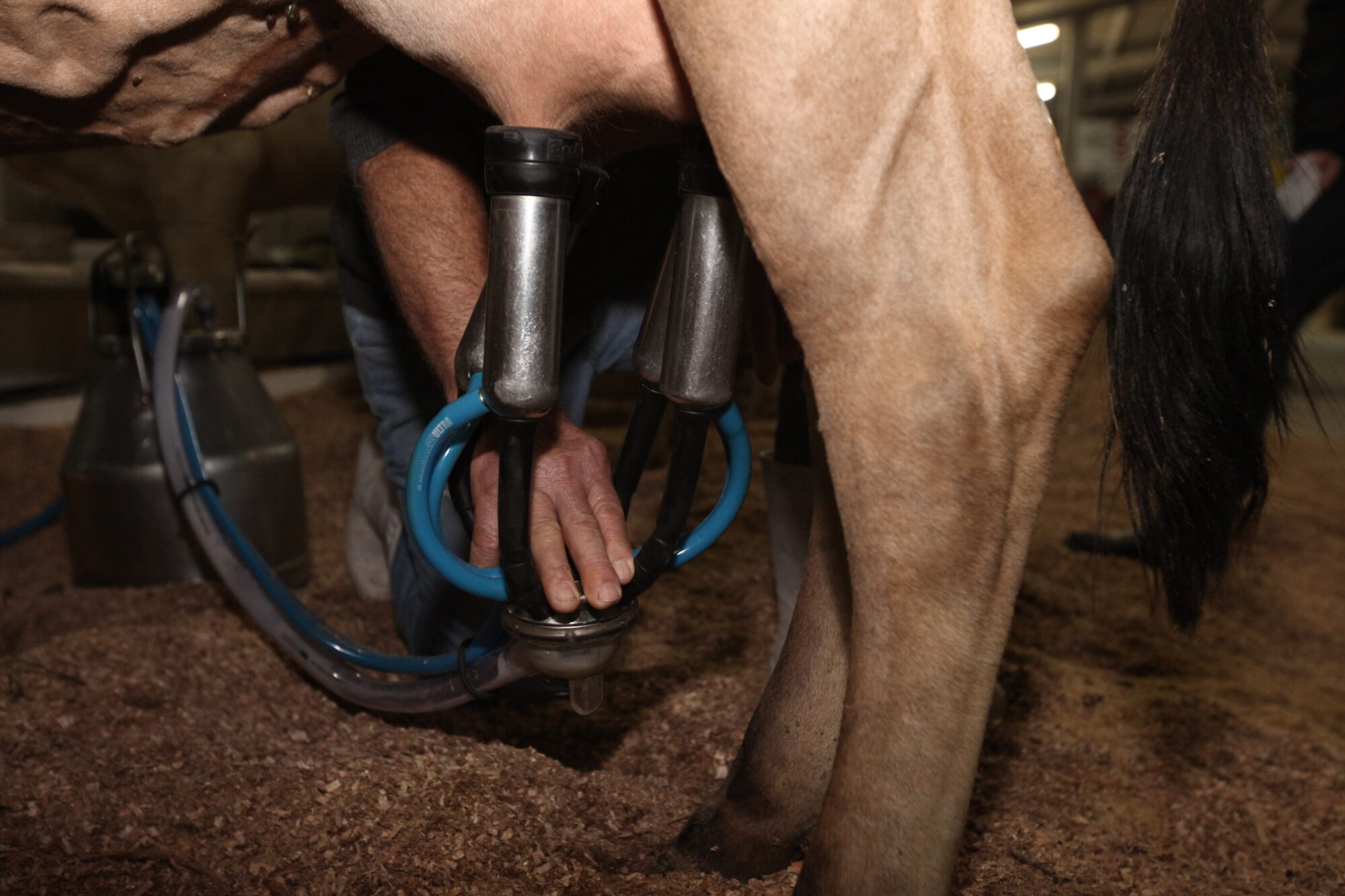 Assembleia contará com mais quatro frentes parlamentares