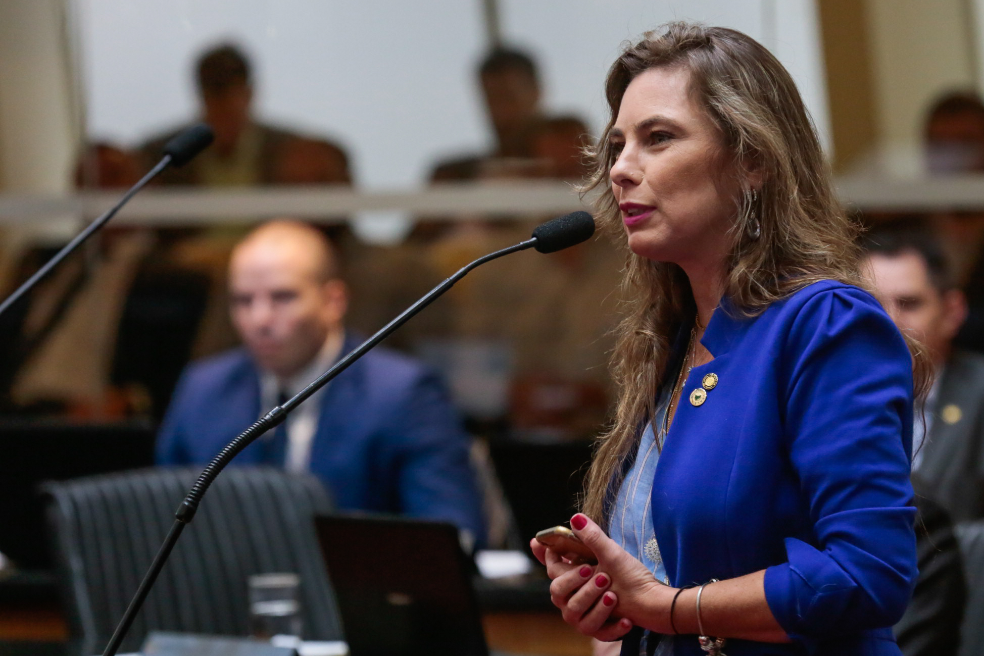 Deputada Paulinha (PDT)