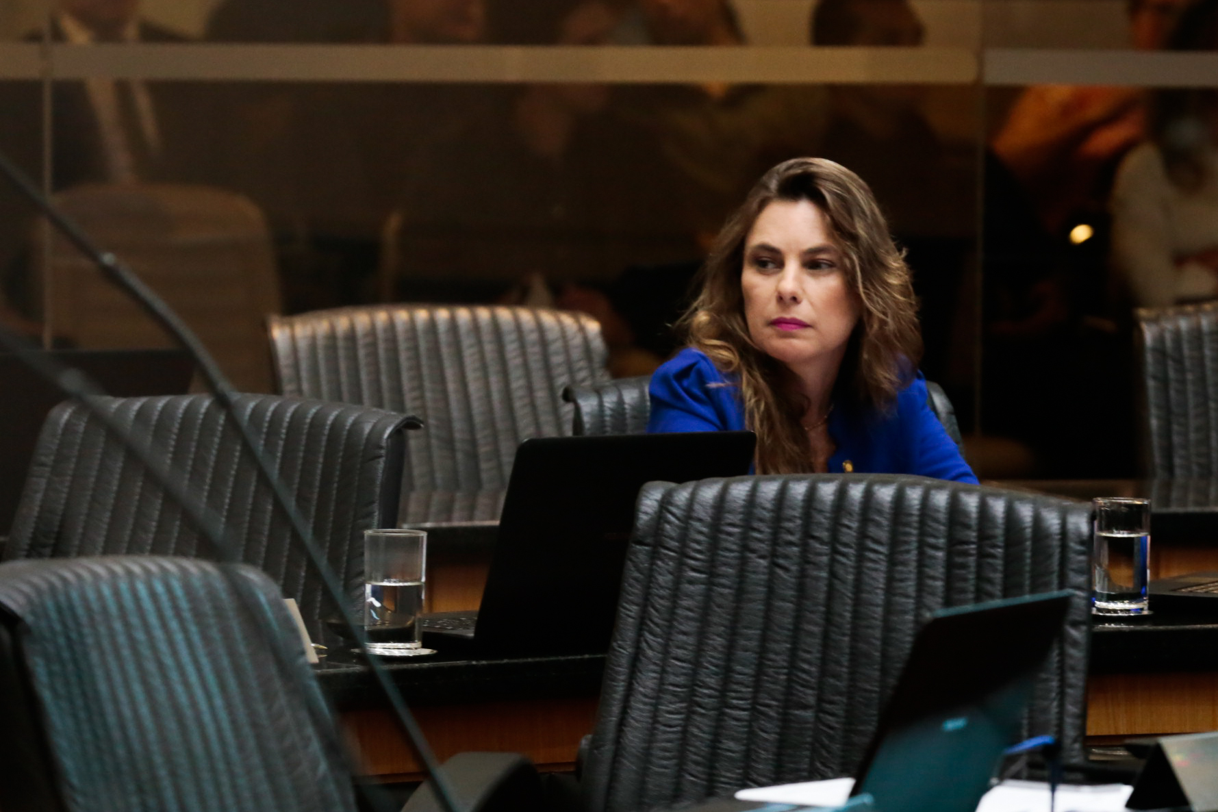 Deputada Paulinha (PDT)