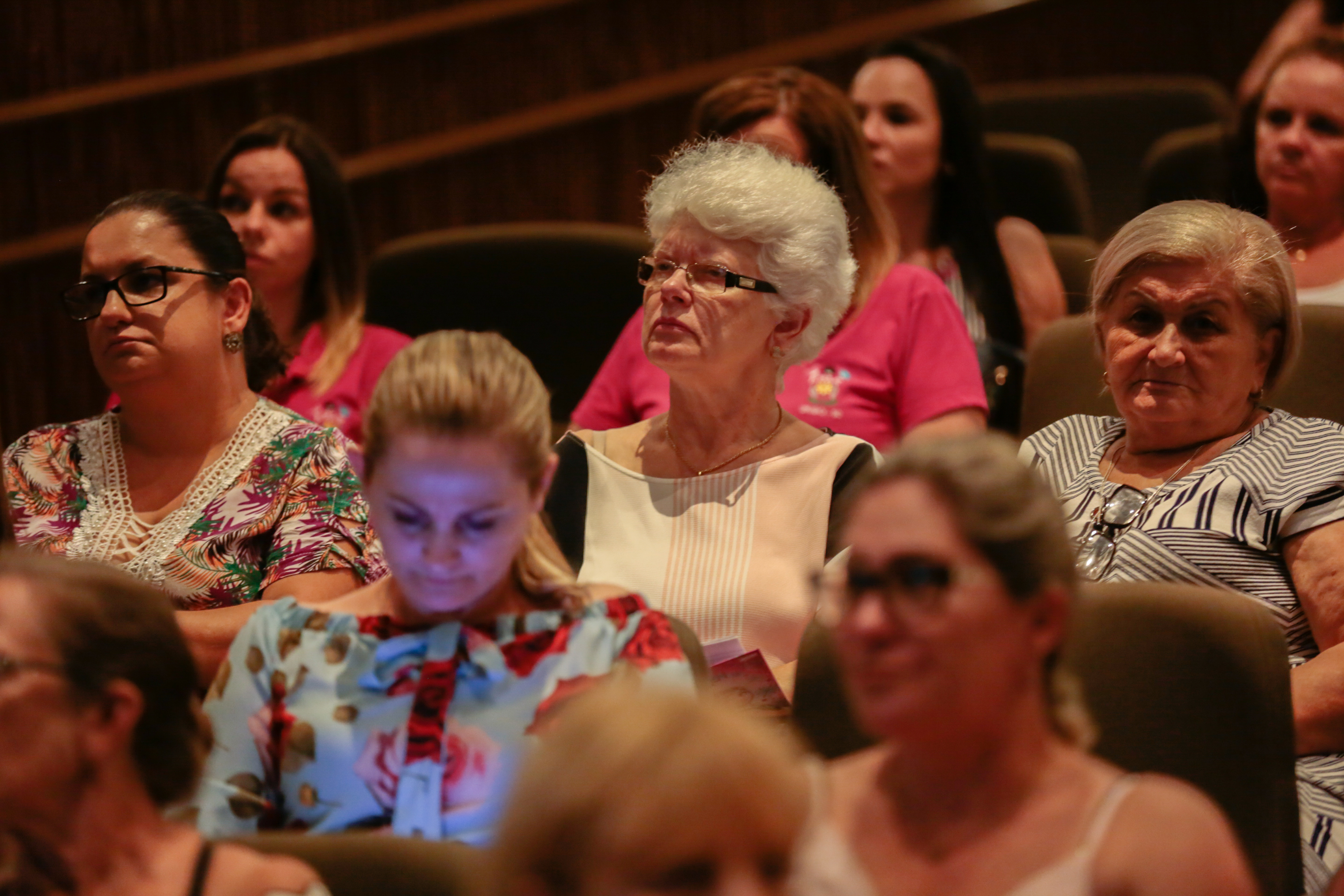 APAES - Feapaes/SC Promove Capacitação com Apaes de todo o Estado no Teatro Pedro Ivo.