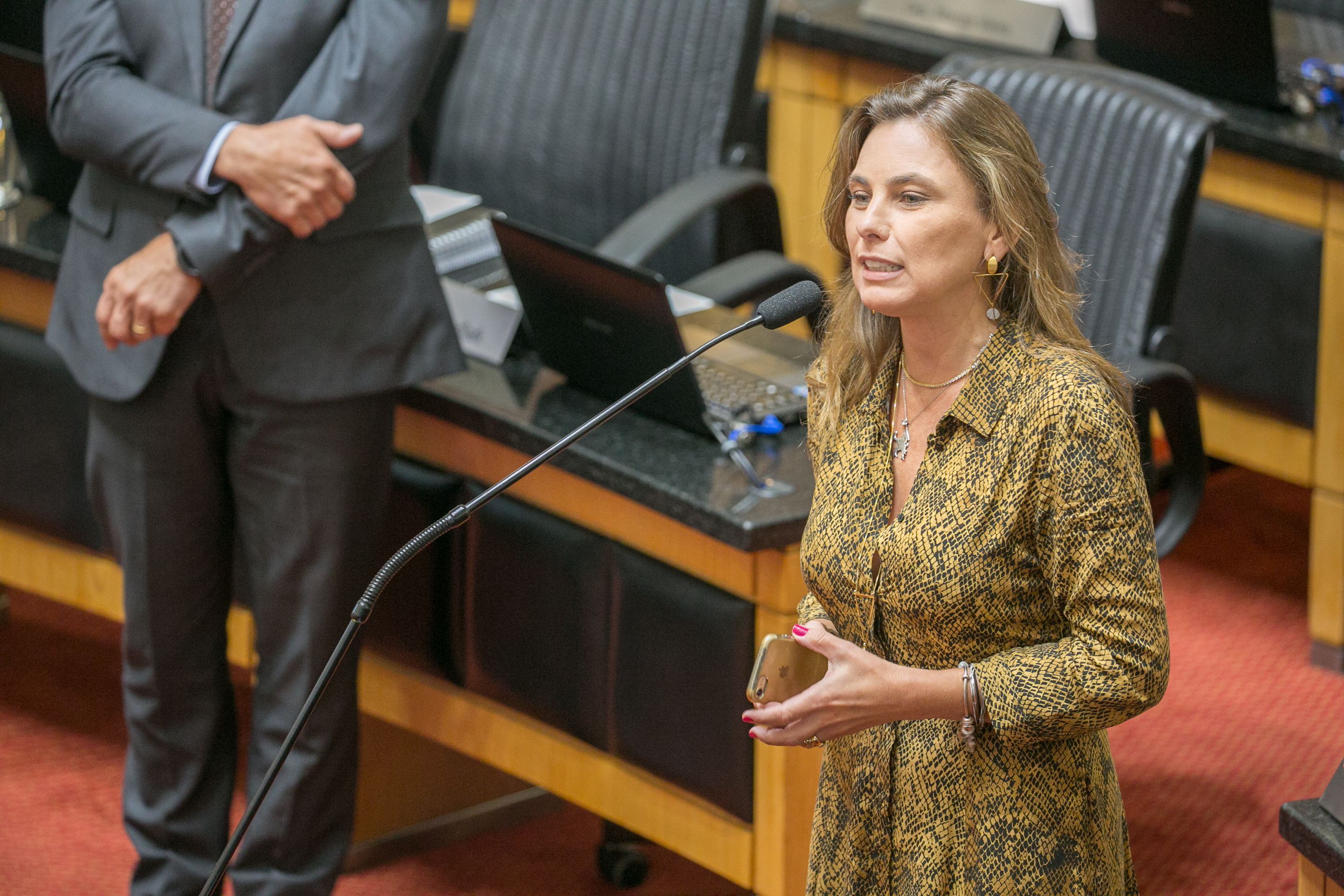 Deputada Ana Paula da Silva (PDT)