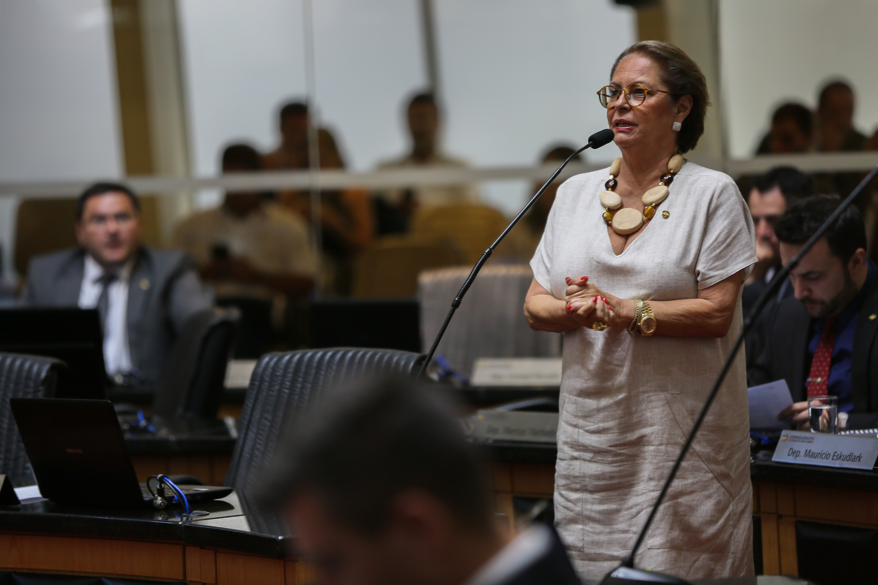 Deputada Ada De Luca (MDB)