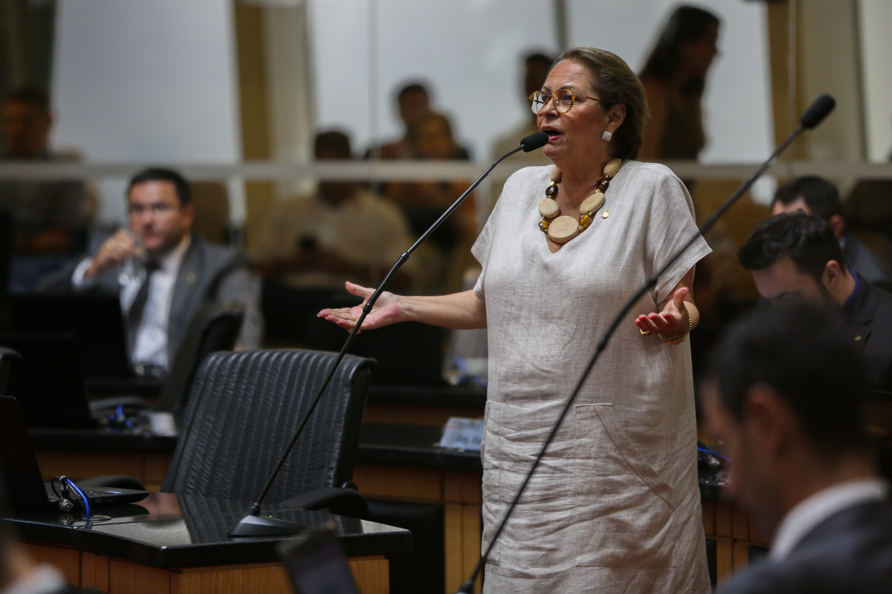Deputada Ada De Luca (MDB)