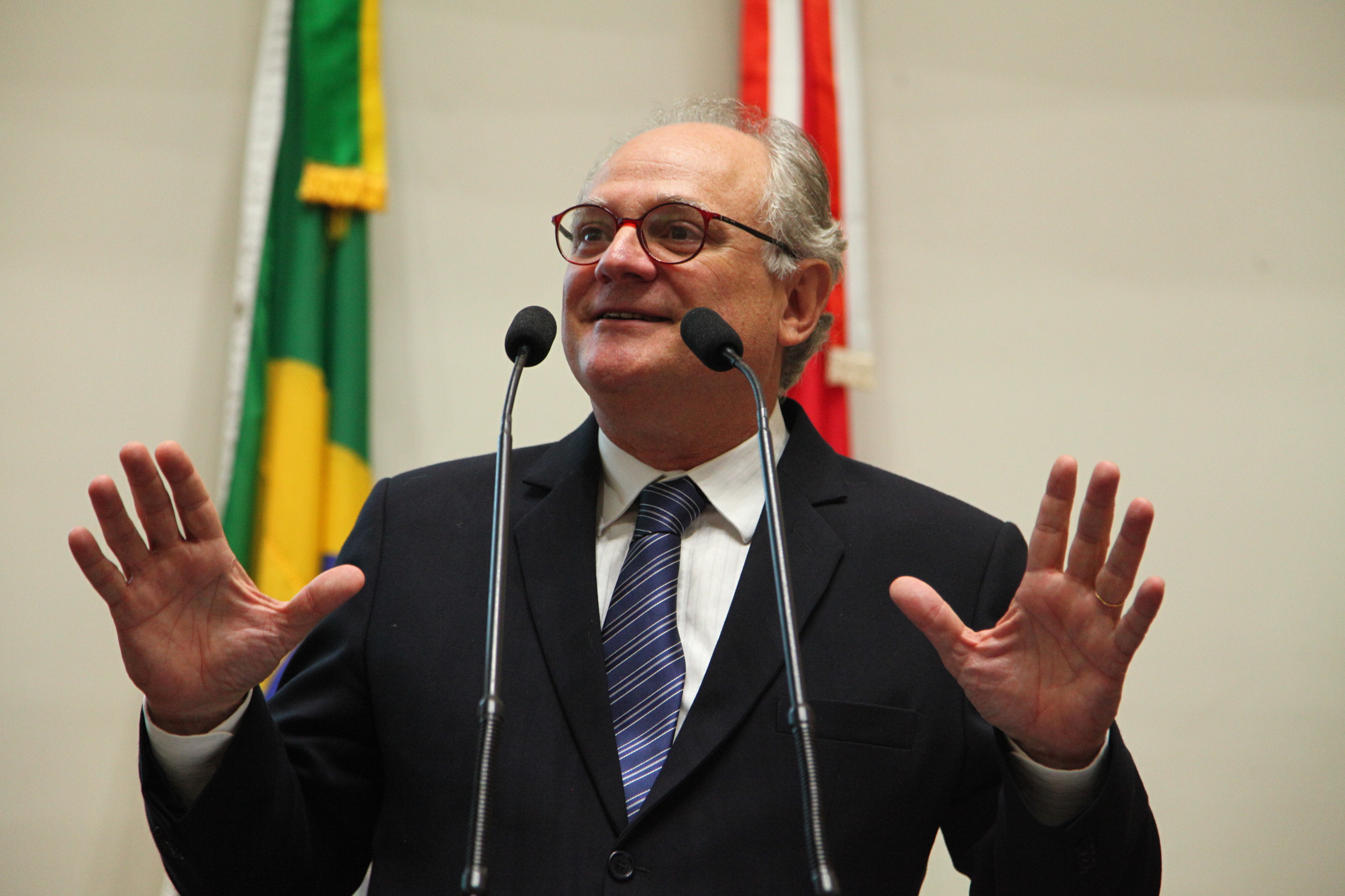 Sessão Plenária em 13/02/2019 - Deputado Vicente Caropreso (PSDB)