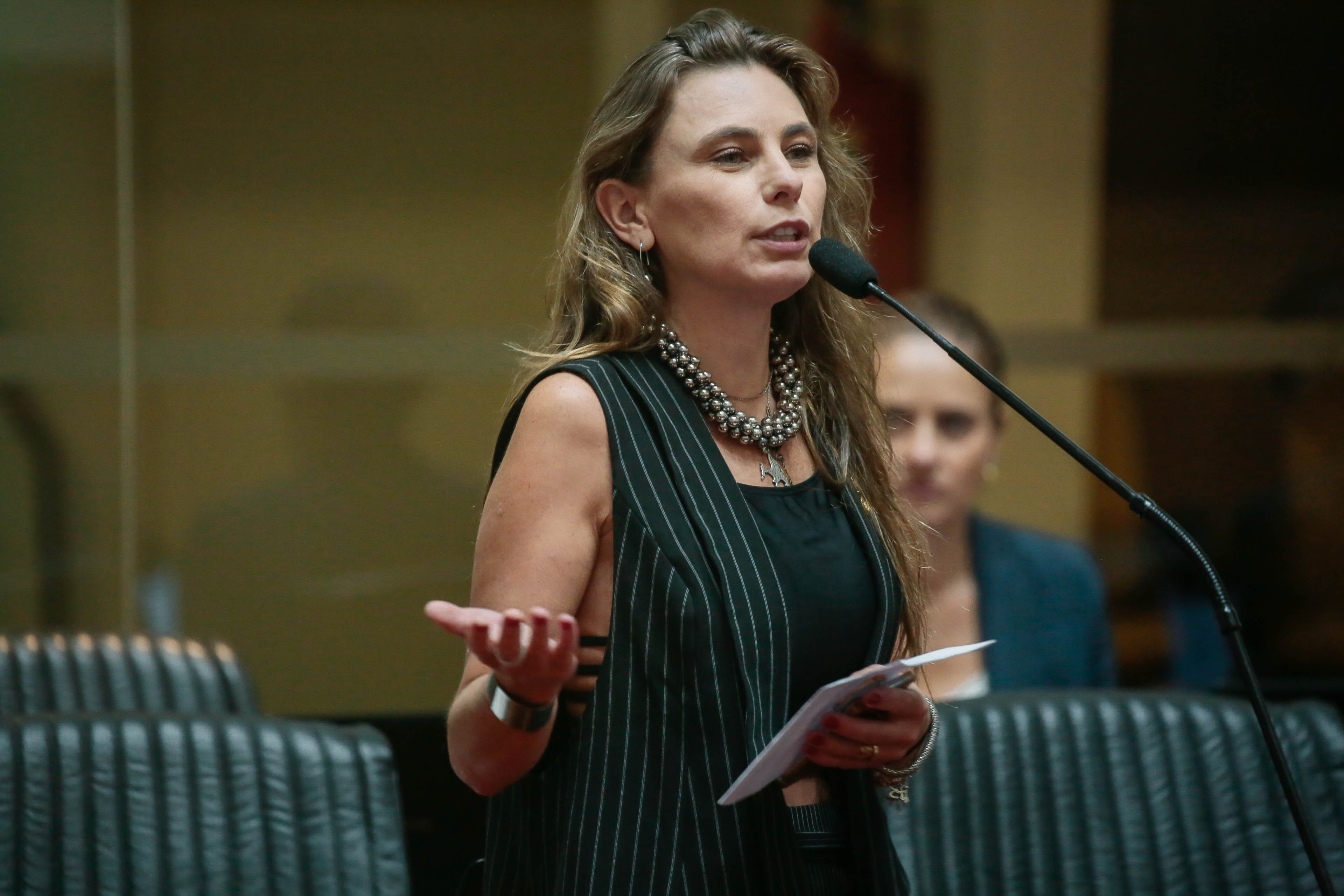 Deputada Paulinha (PDT)