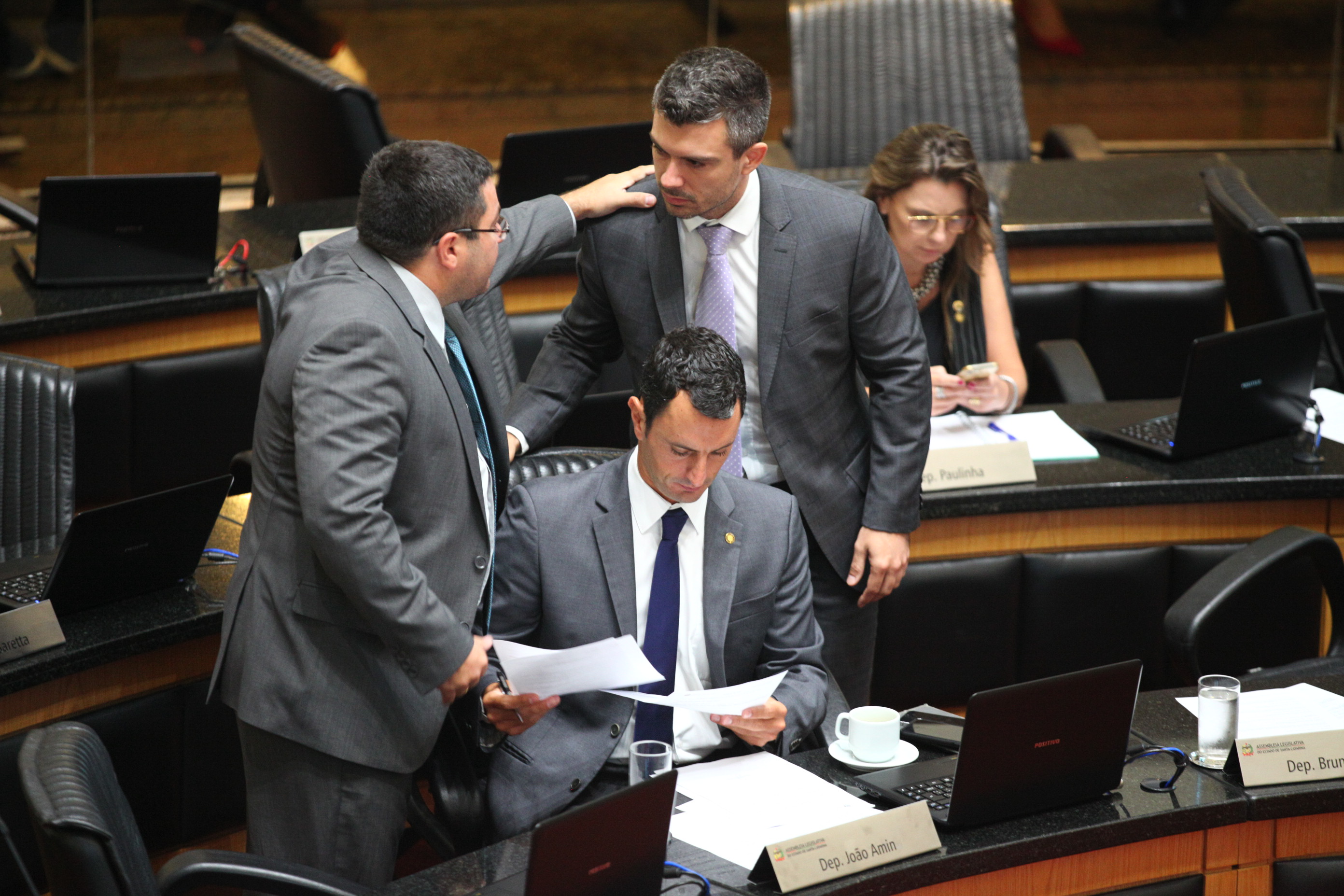 Sessão Ordinária em 14/02/2019