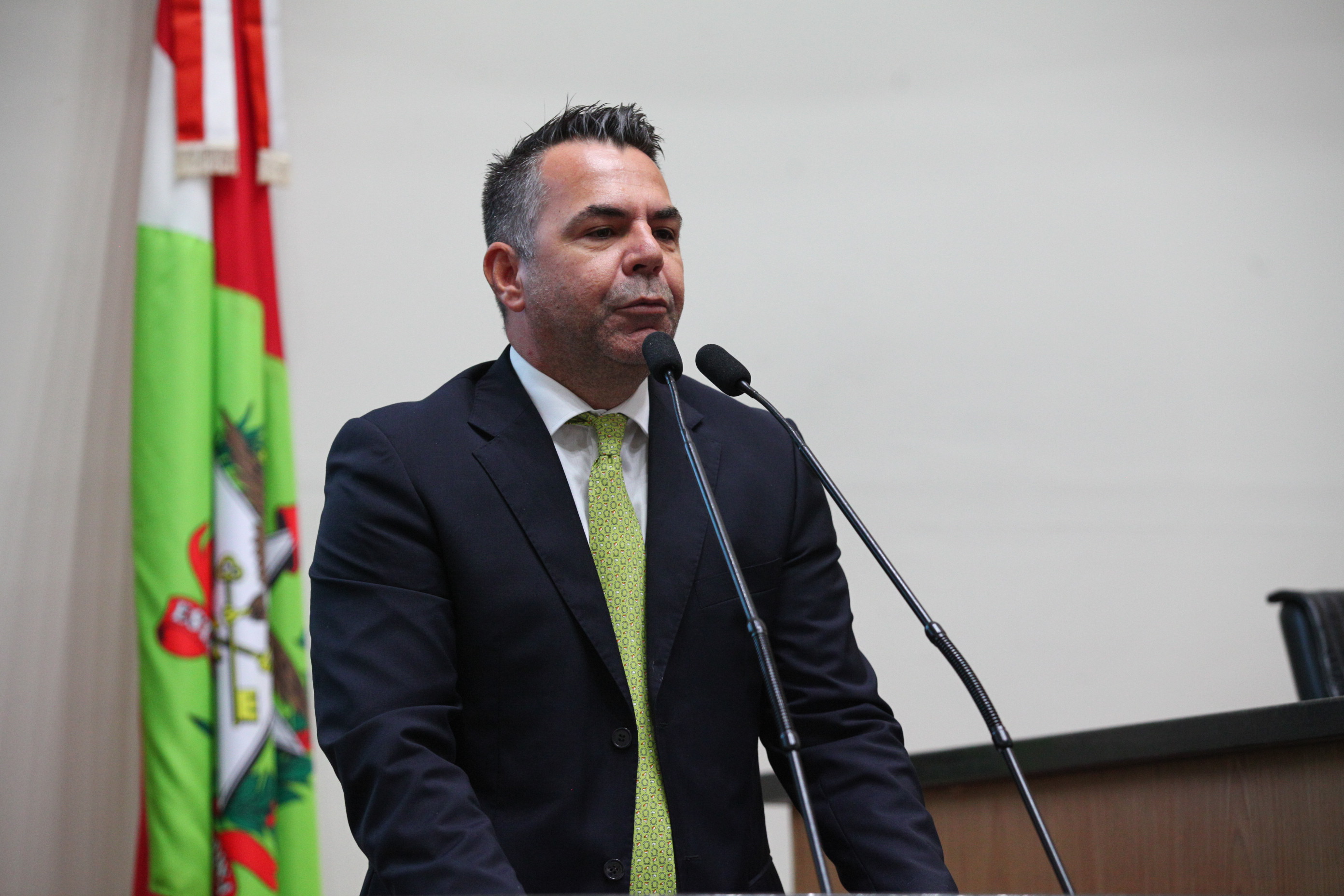 Sessão Ordinária em 14/02/2019 - Deputado Luiz Fernando Vampiro  (PMDB)